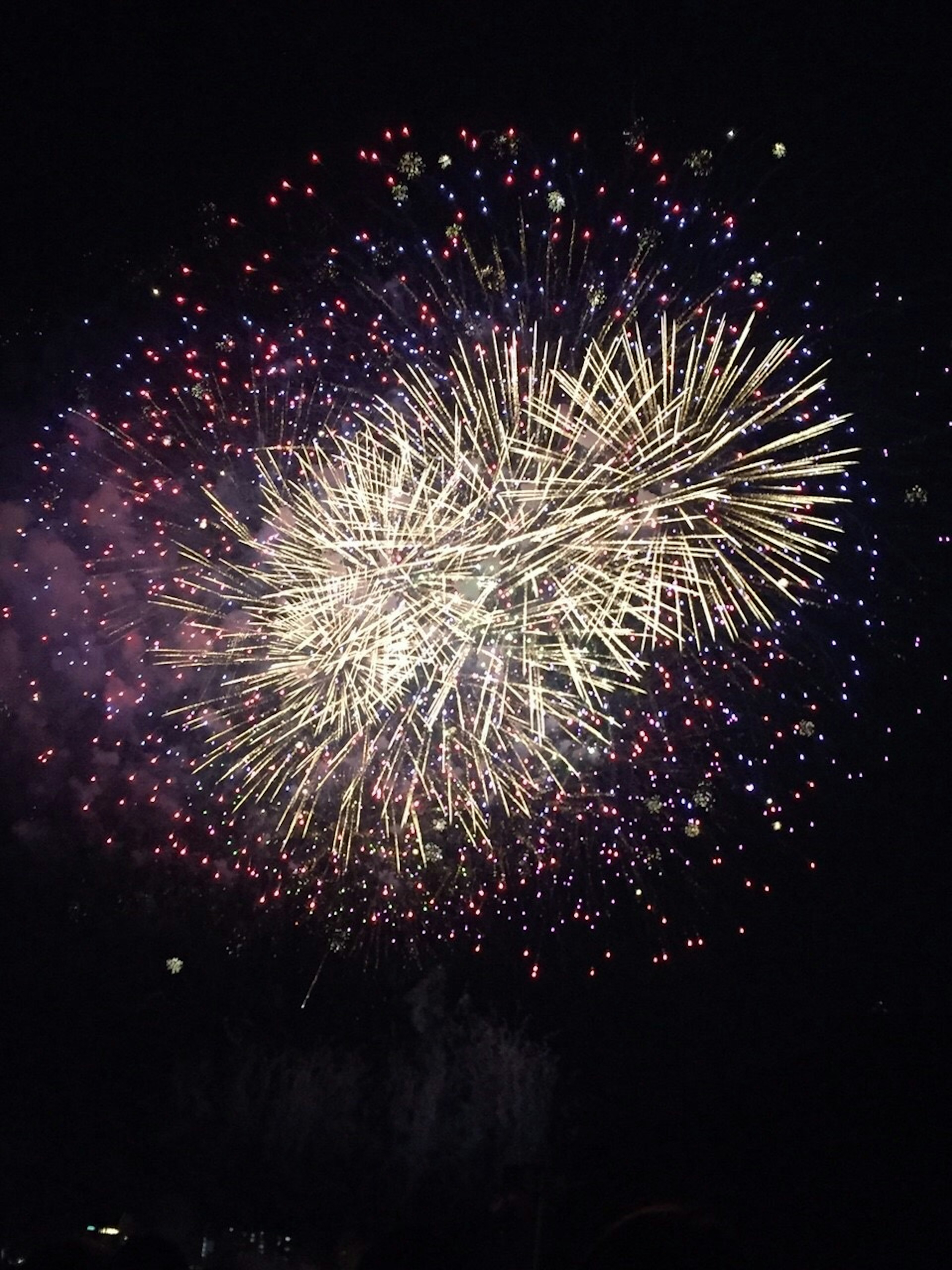 夜空に広がる美しい花火のショー