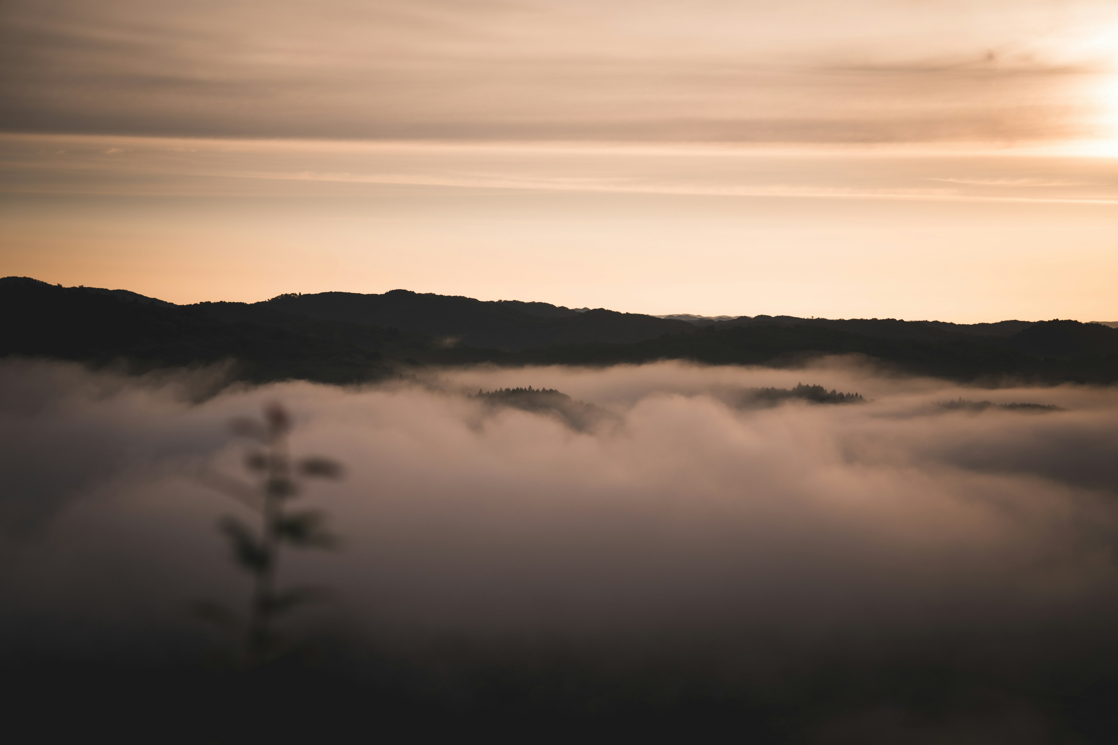 Mountains shrouded in fog with soft sunset