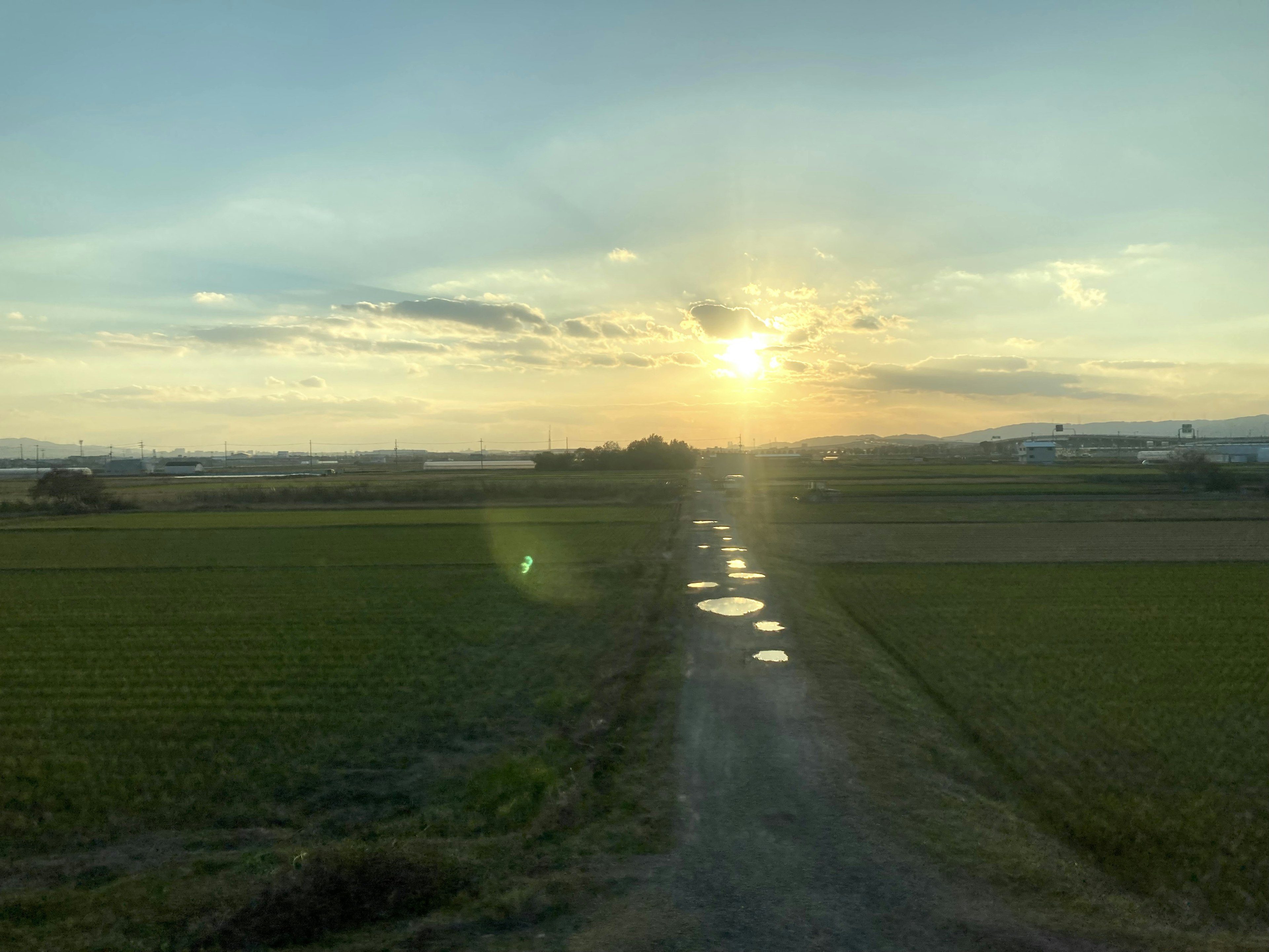 Rural landscape with green rice fields and a dirt road under a setting sun