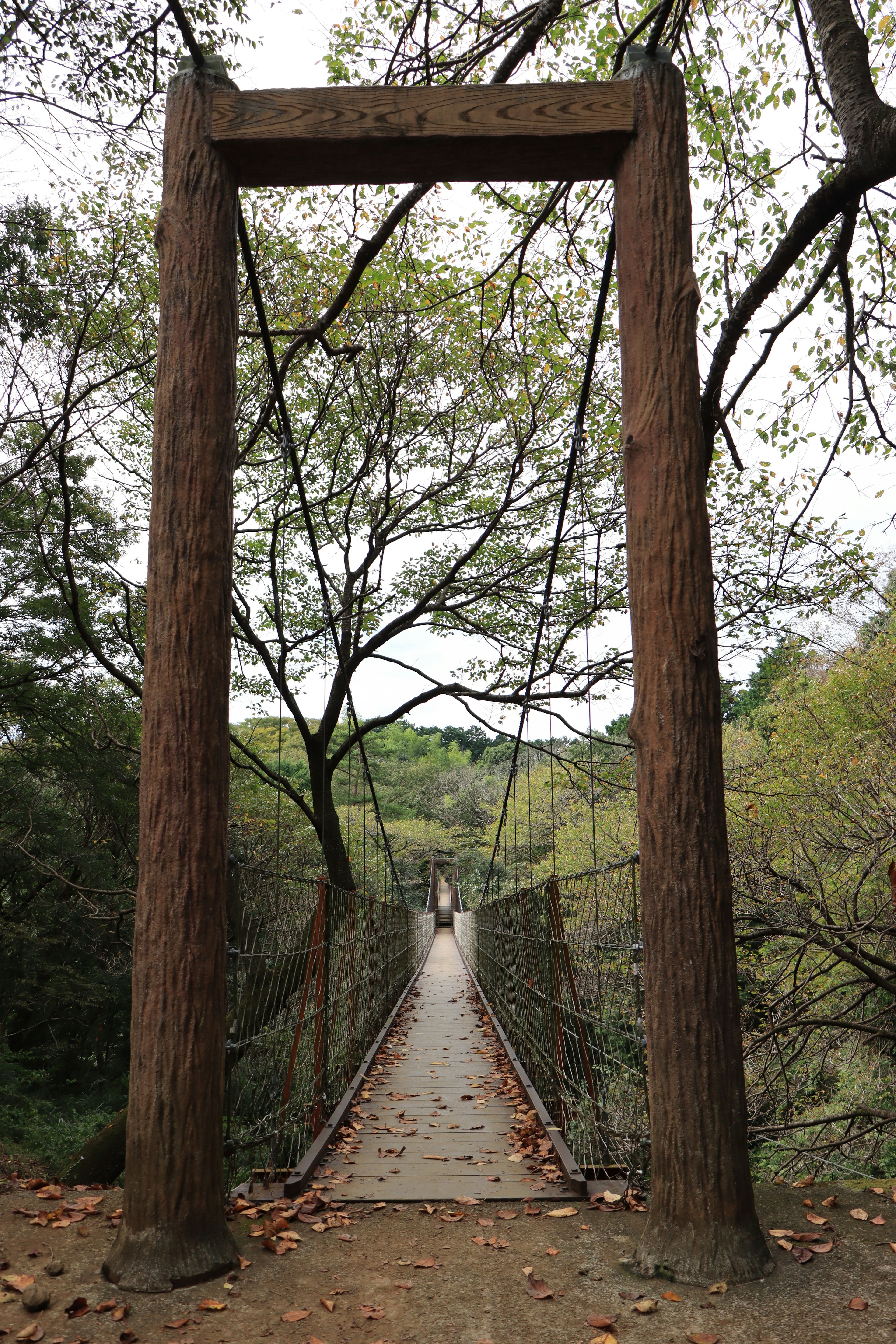 Puente colgante con soportes de madera rodeado de naturaleza