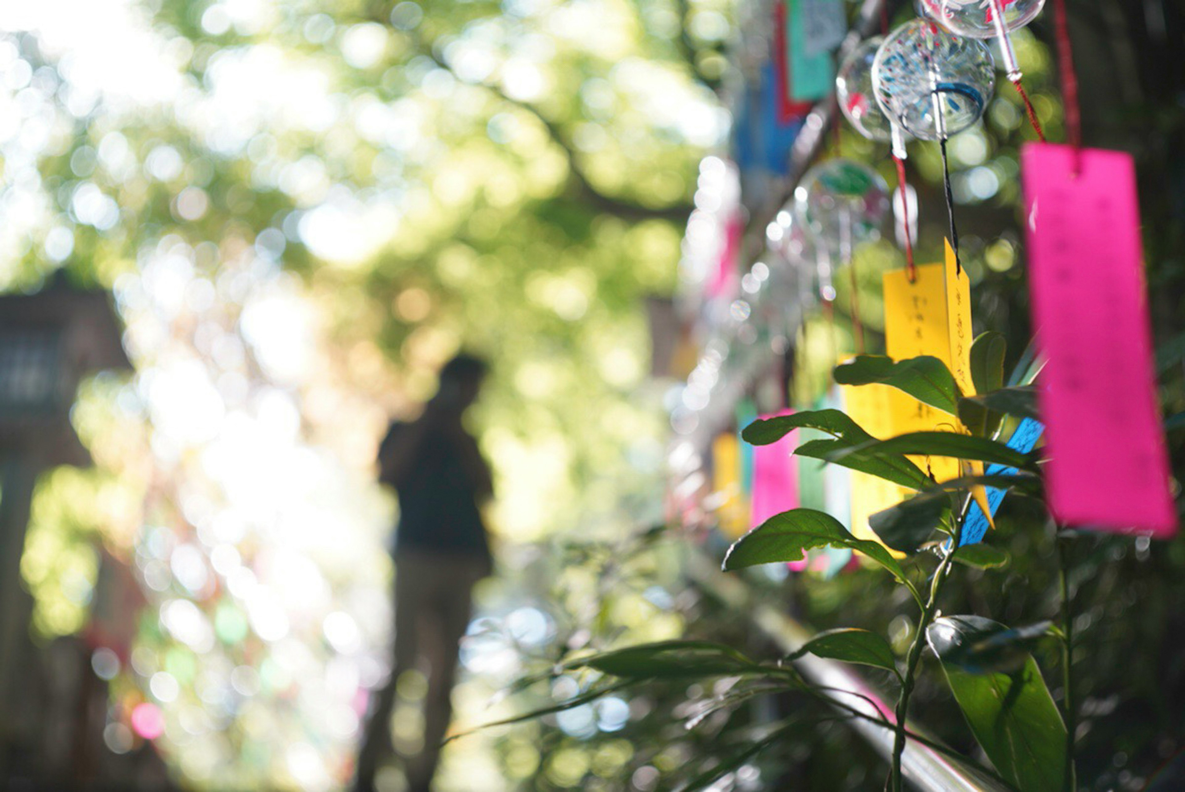 Silhouette d'une personne se tenant devant des bandes de papier colorées suspendues à un arbre