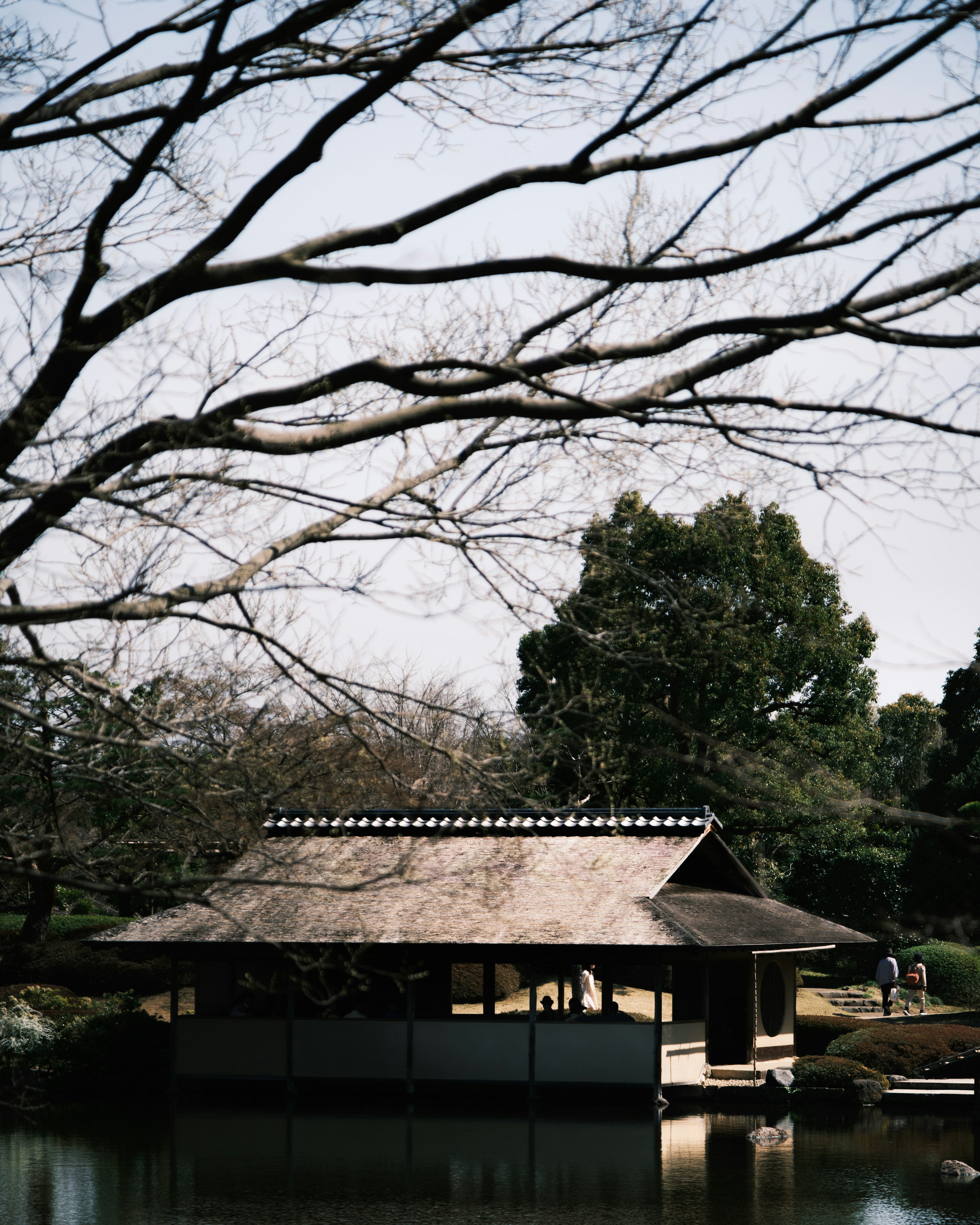 Traditional Japanese tea house by a serene pond with bare branches