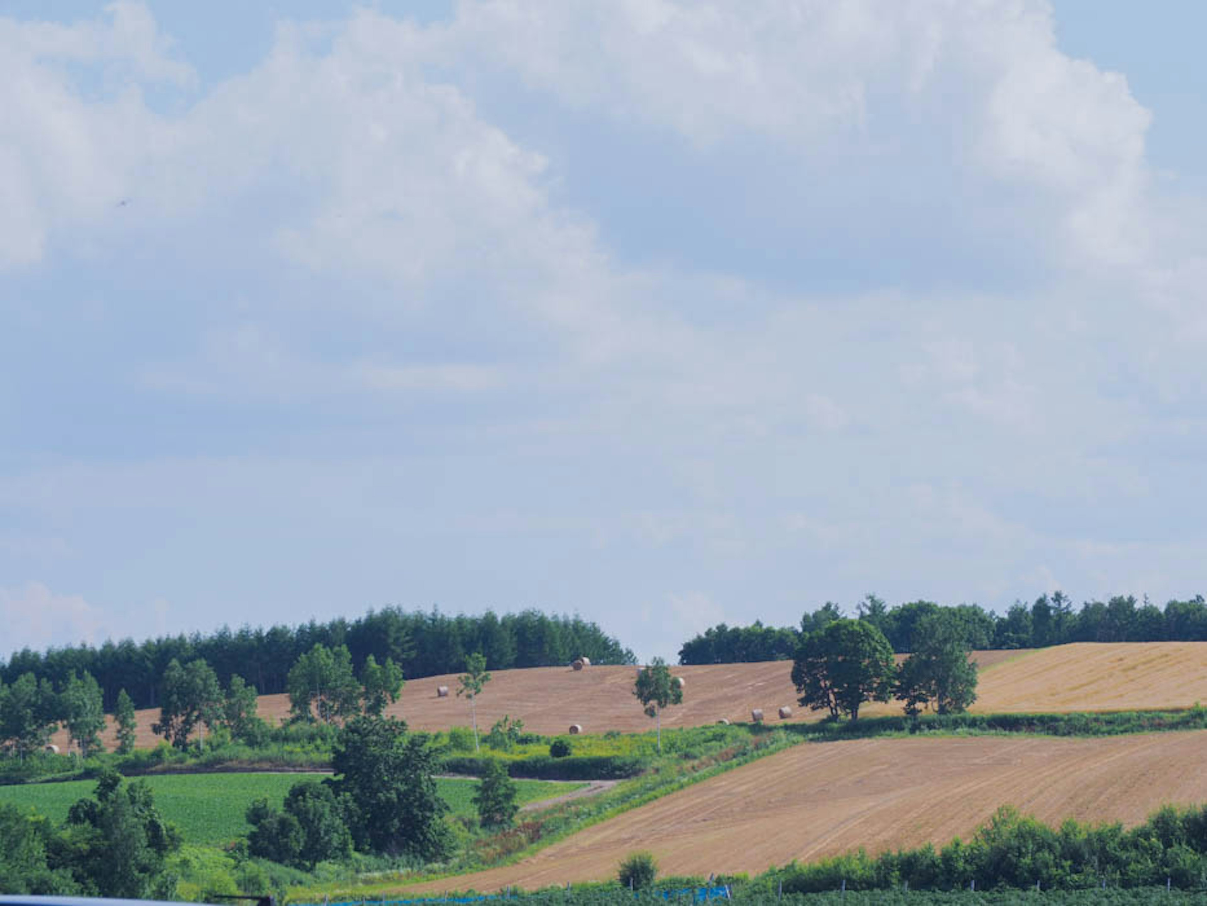 Collines verdoyantes avec des arbres épars sous un ciel nuageux