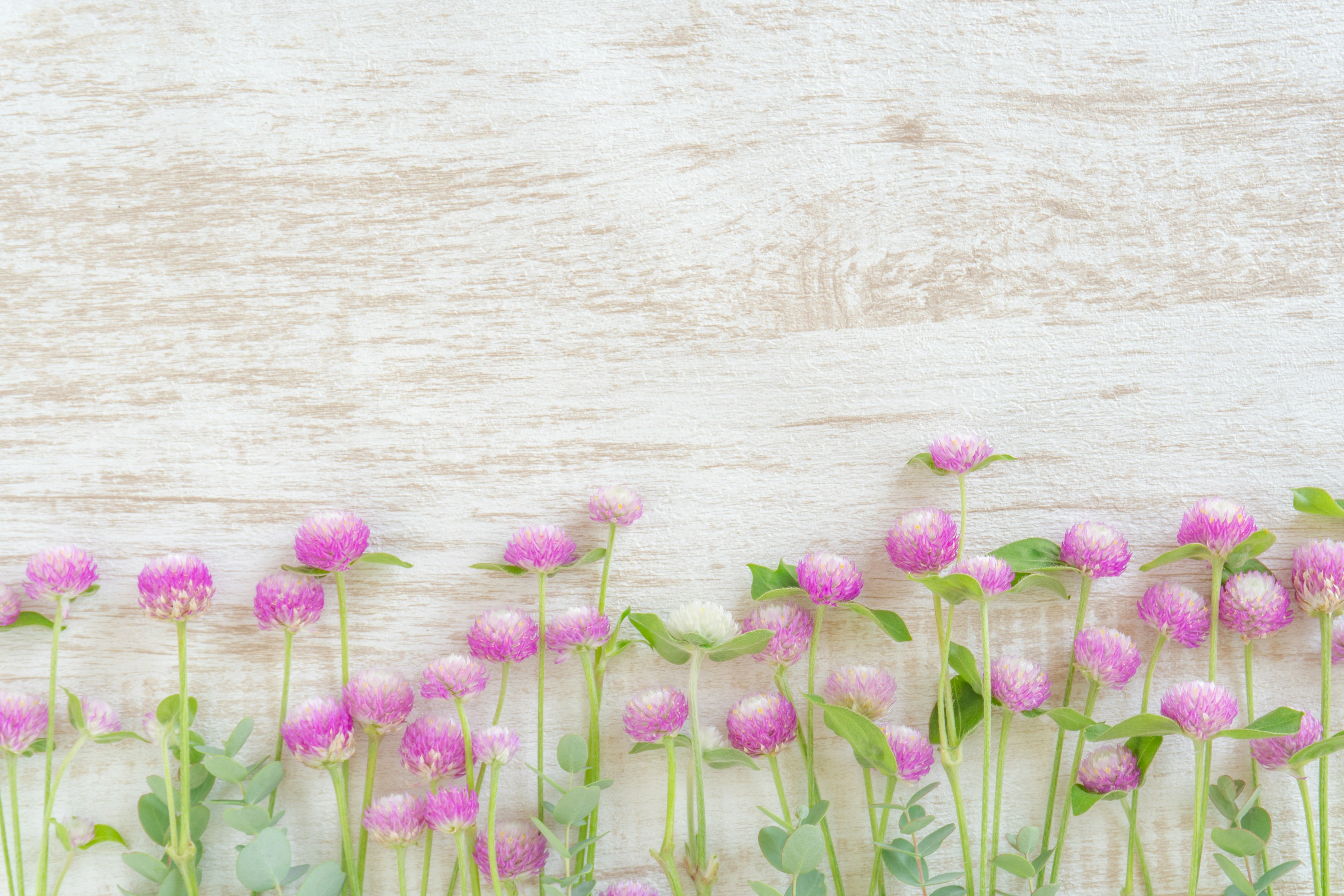 淡い木目の背景にピンクの花が並ぶシンプルで美しい風景