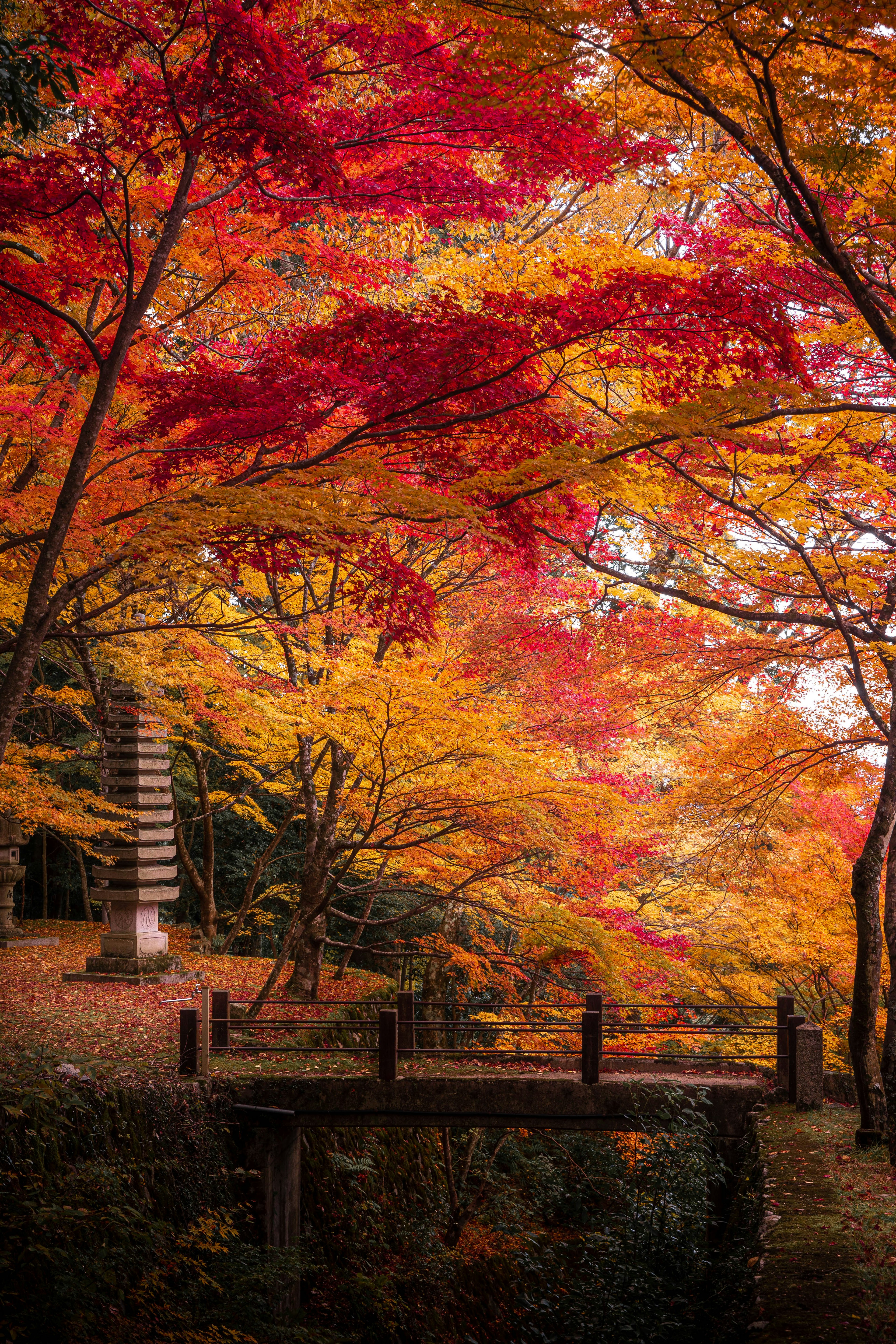 Scenic view of vibrant autumn foliage and a small wooden bridge