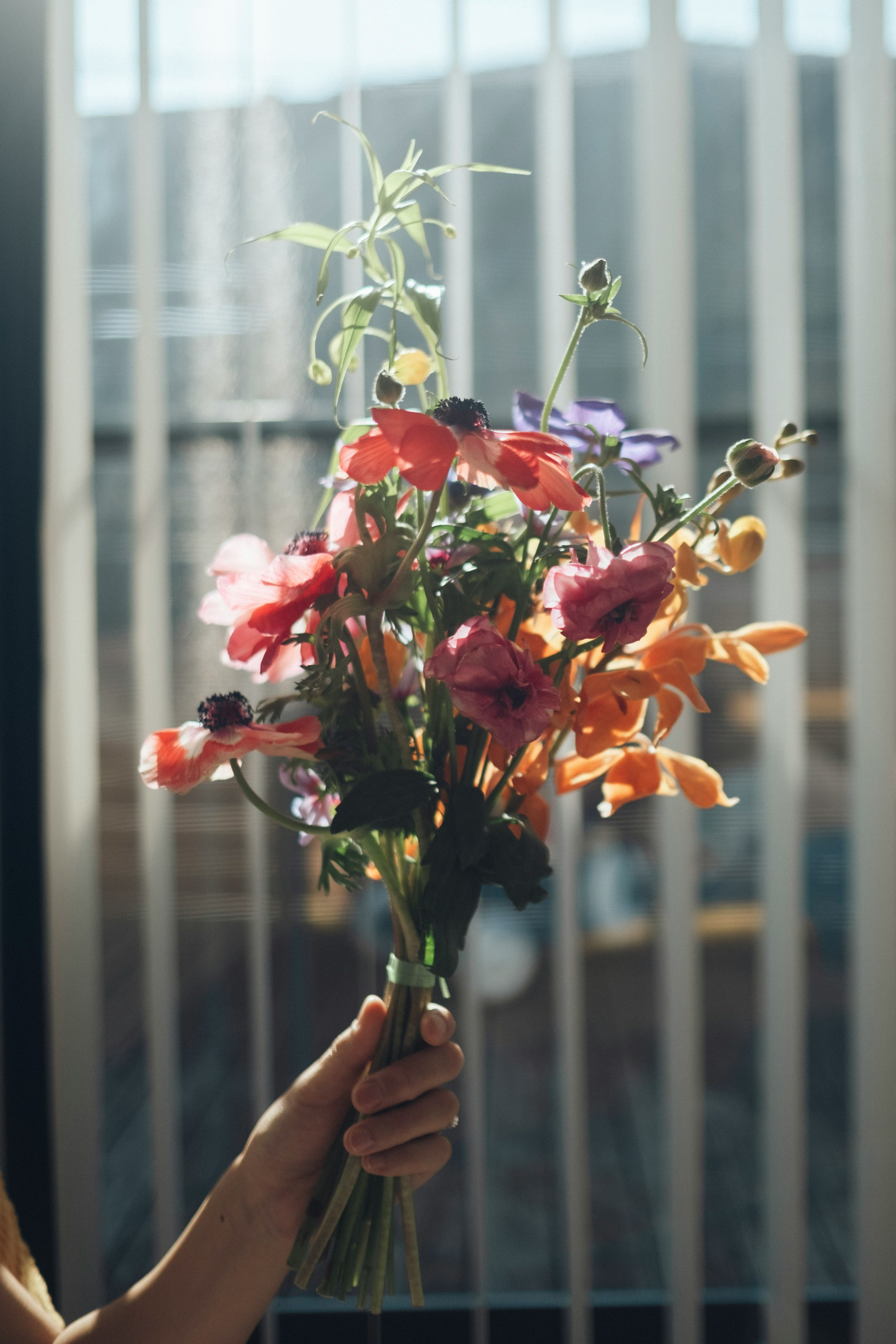 明るい色の花束を持つ手と背景の縦のブラインド