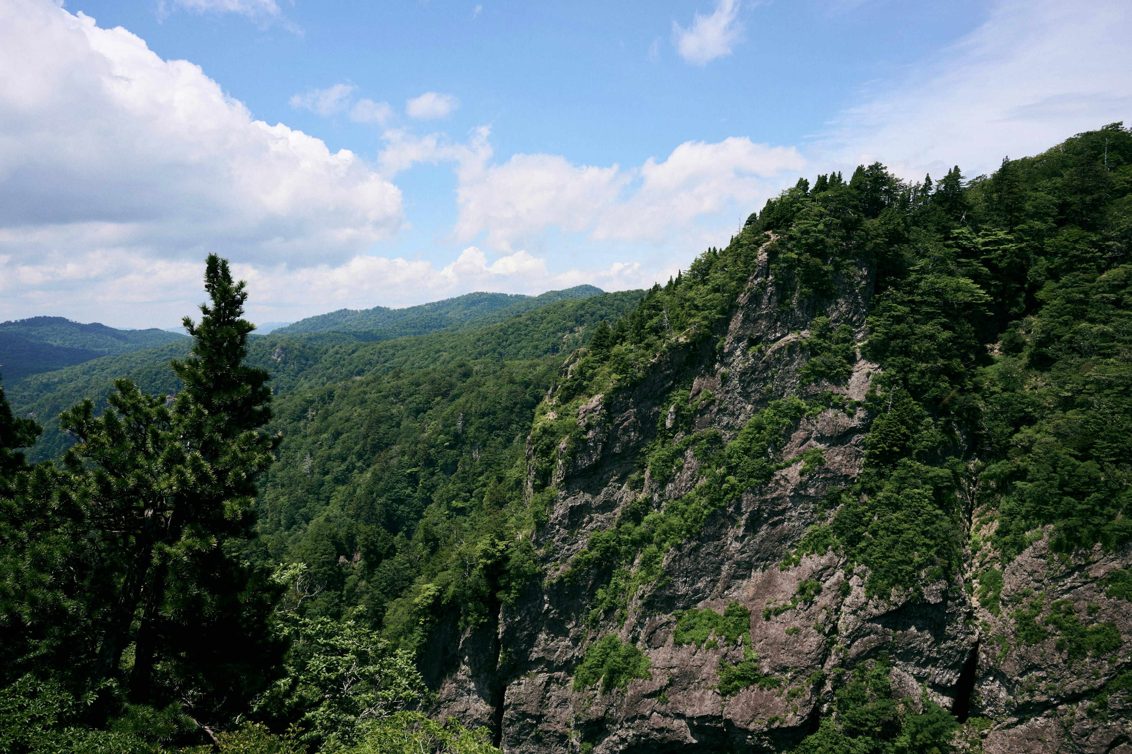 郁郁蔥蔥的山脈與岩石懸崖在藍天下