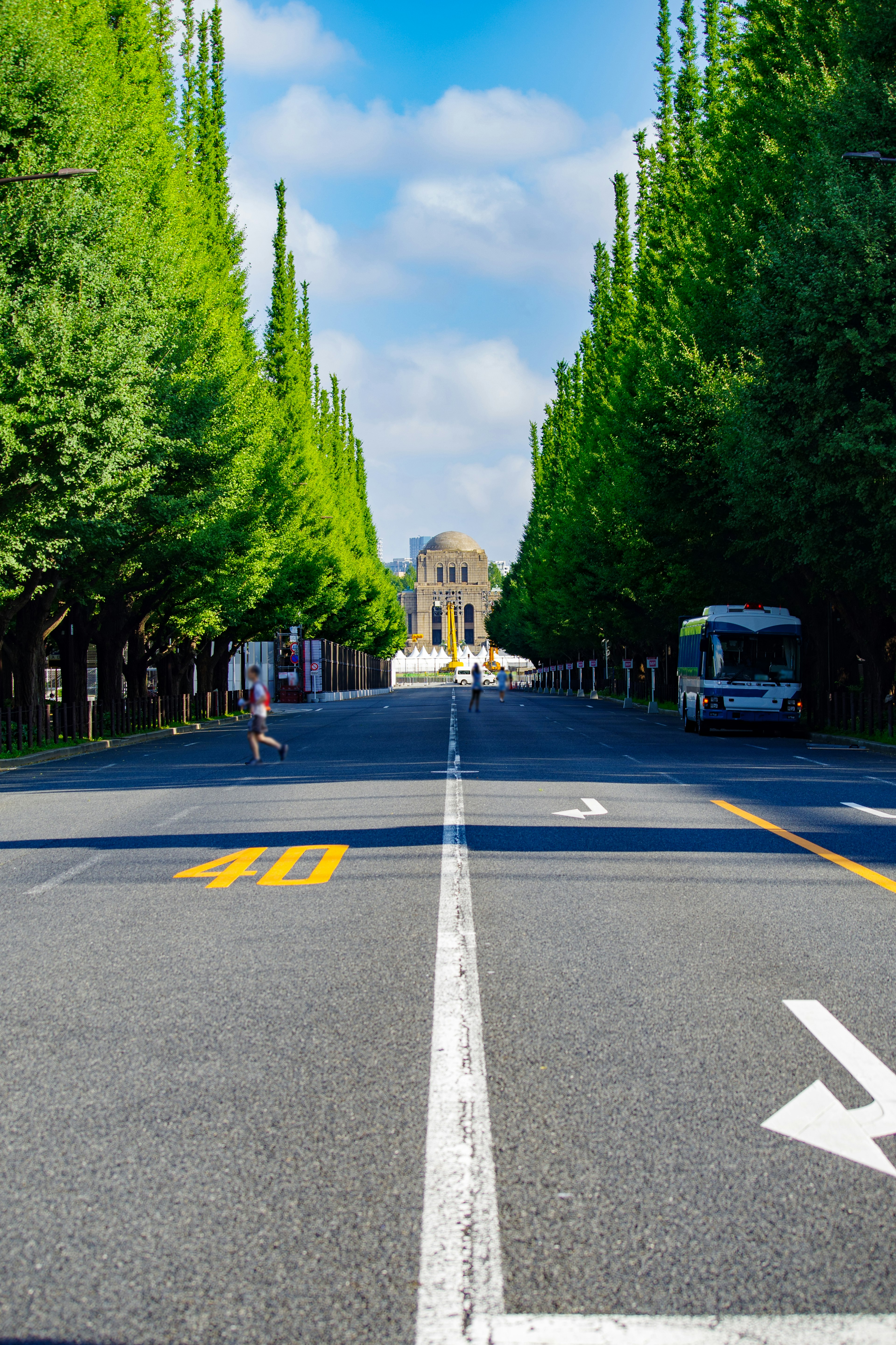 A tree-lined street with ginkgo trees under a blue sky and a building at the end