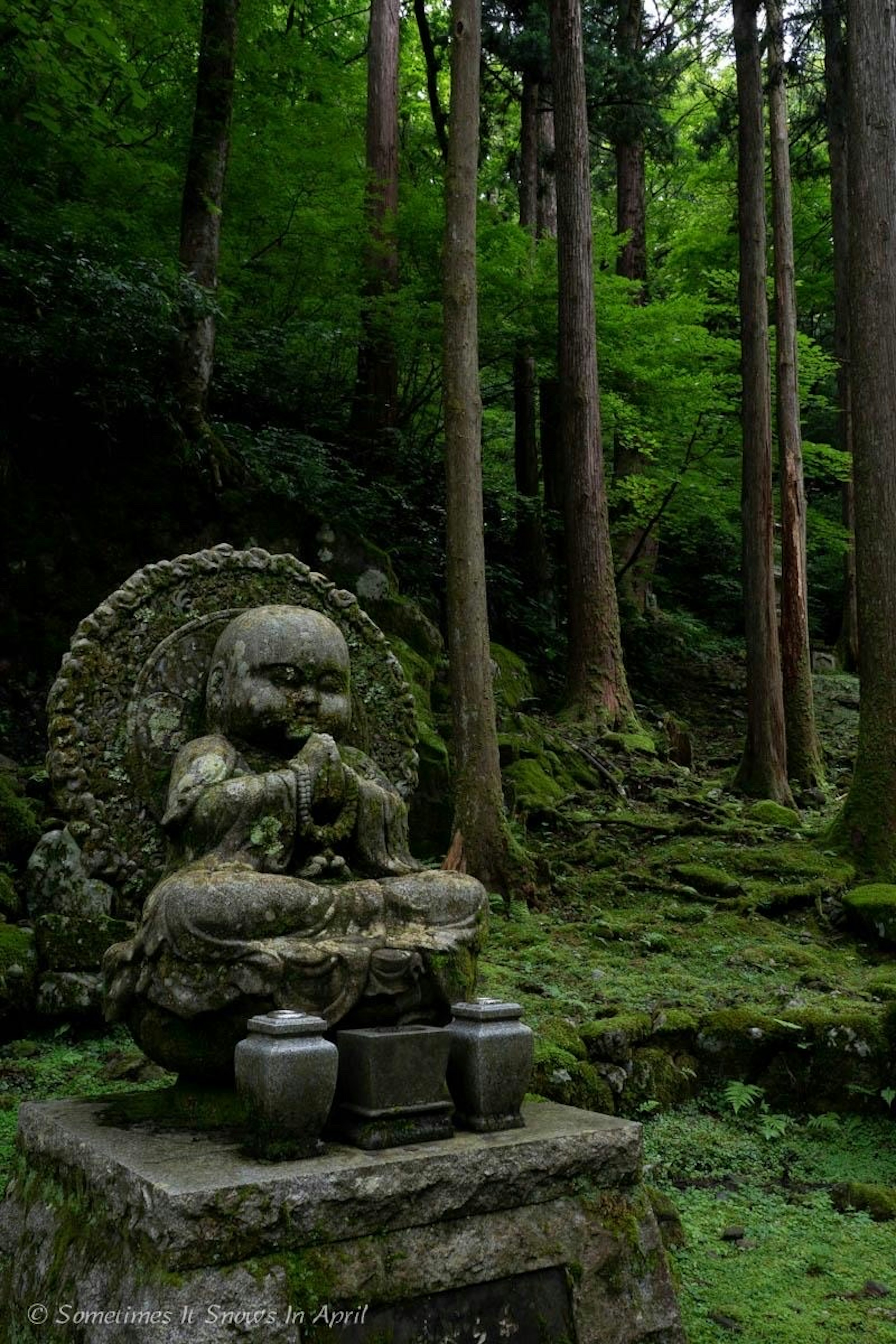 Patung Buddha dikelilingi hutan hijau lebat dan pohon-pohon tinggi