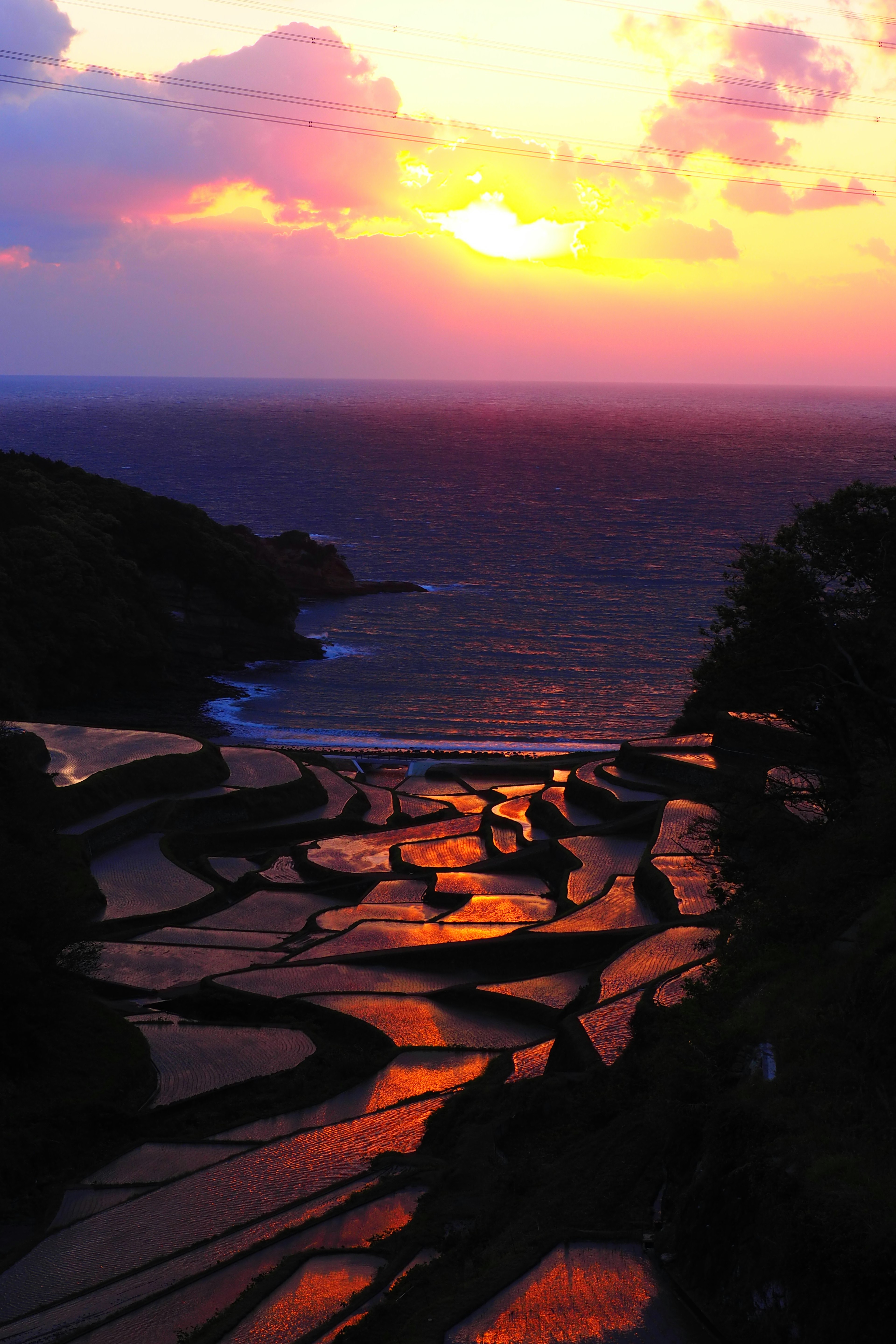 美しい夕日が海に沈む風景で棚田が広がる