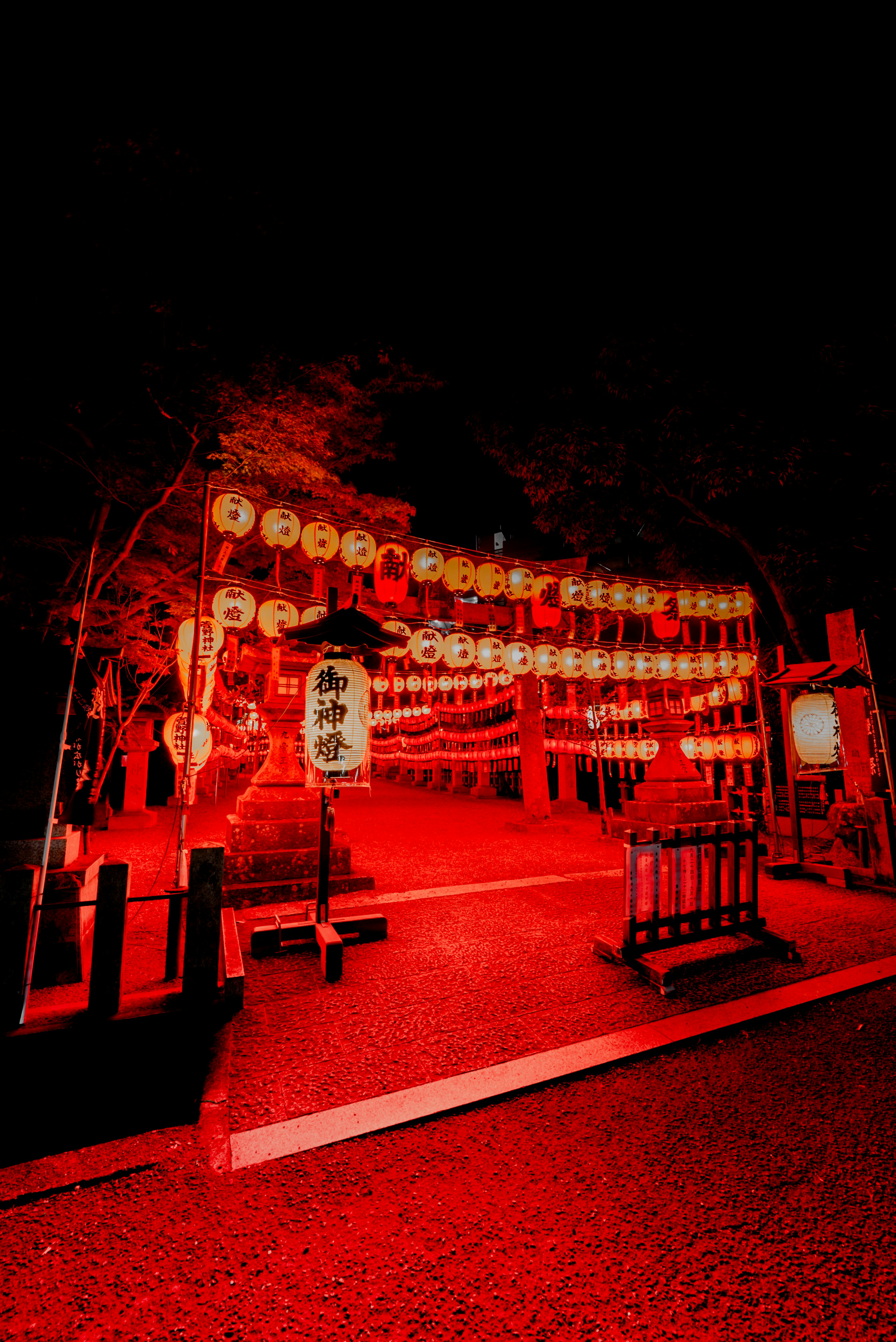 赤い提灯が灯る夜の神社の入り口