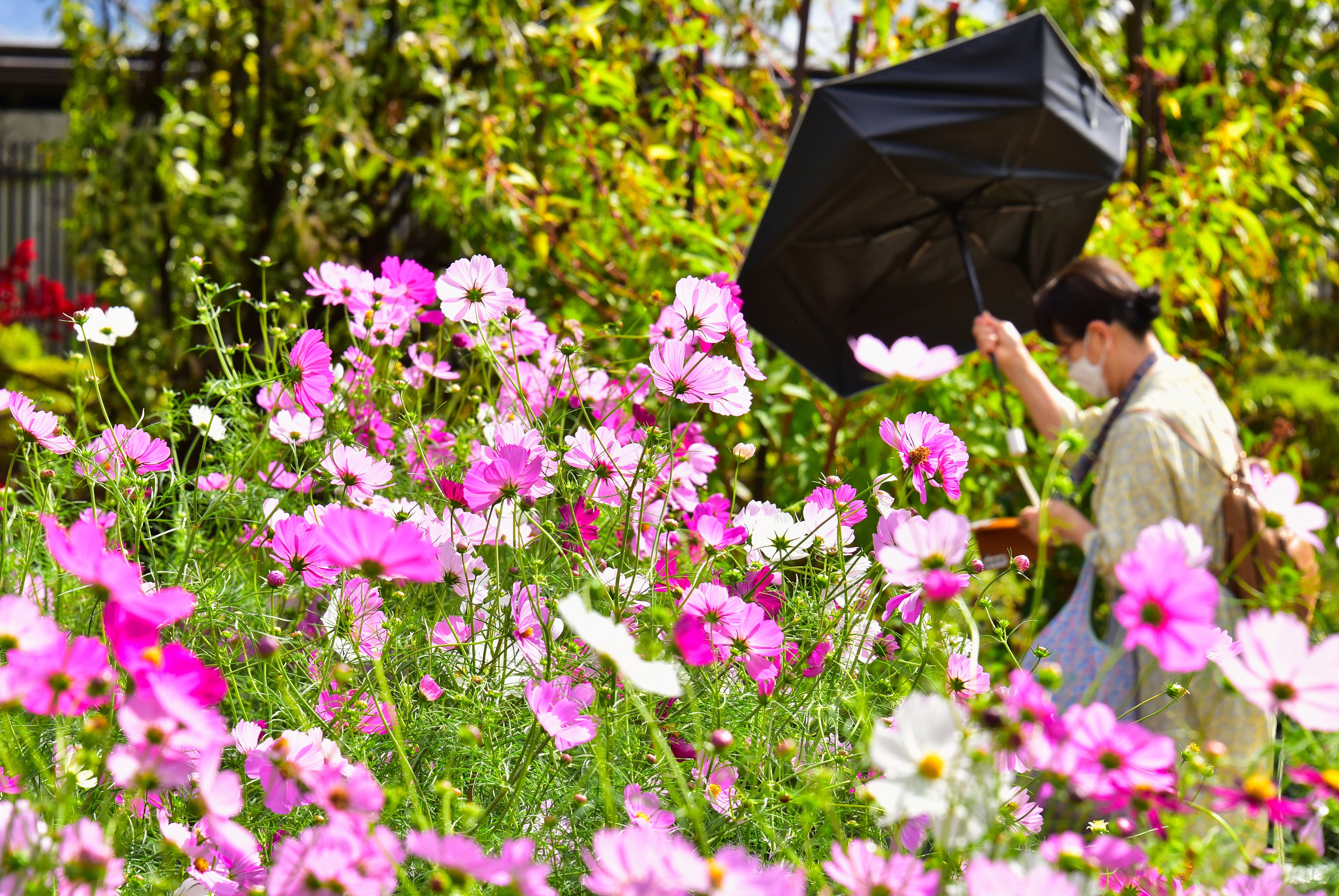 Une personne tenant un parapluie dans un jardin de fleurs