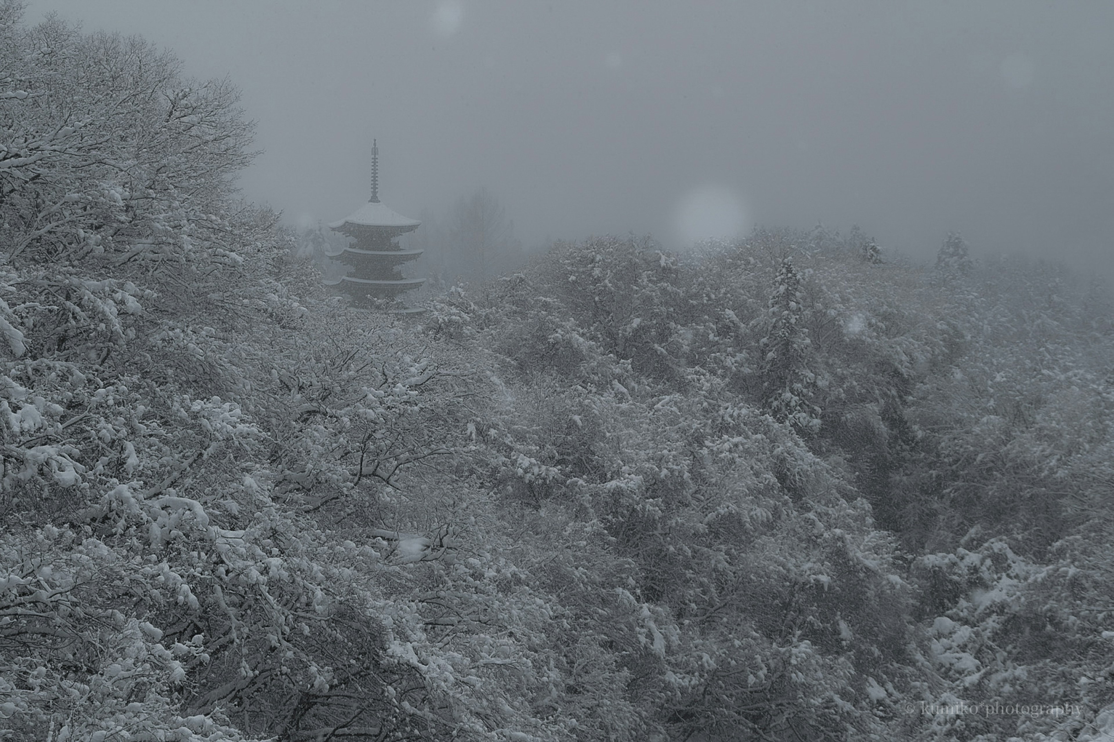 Torre visibile tra alberi coperti di neve e nebbia