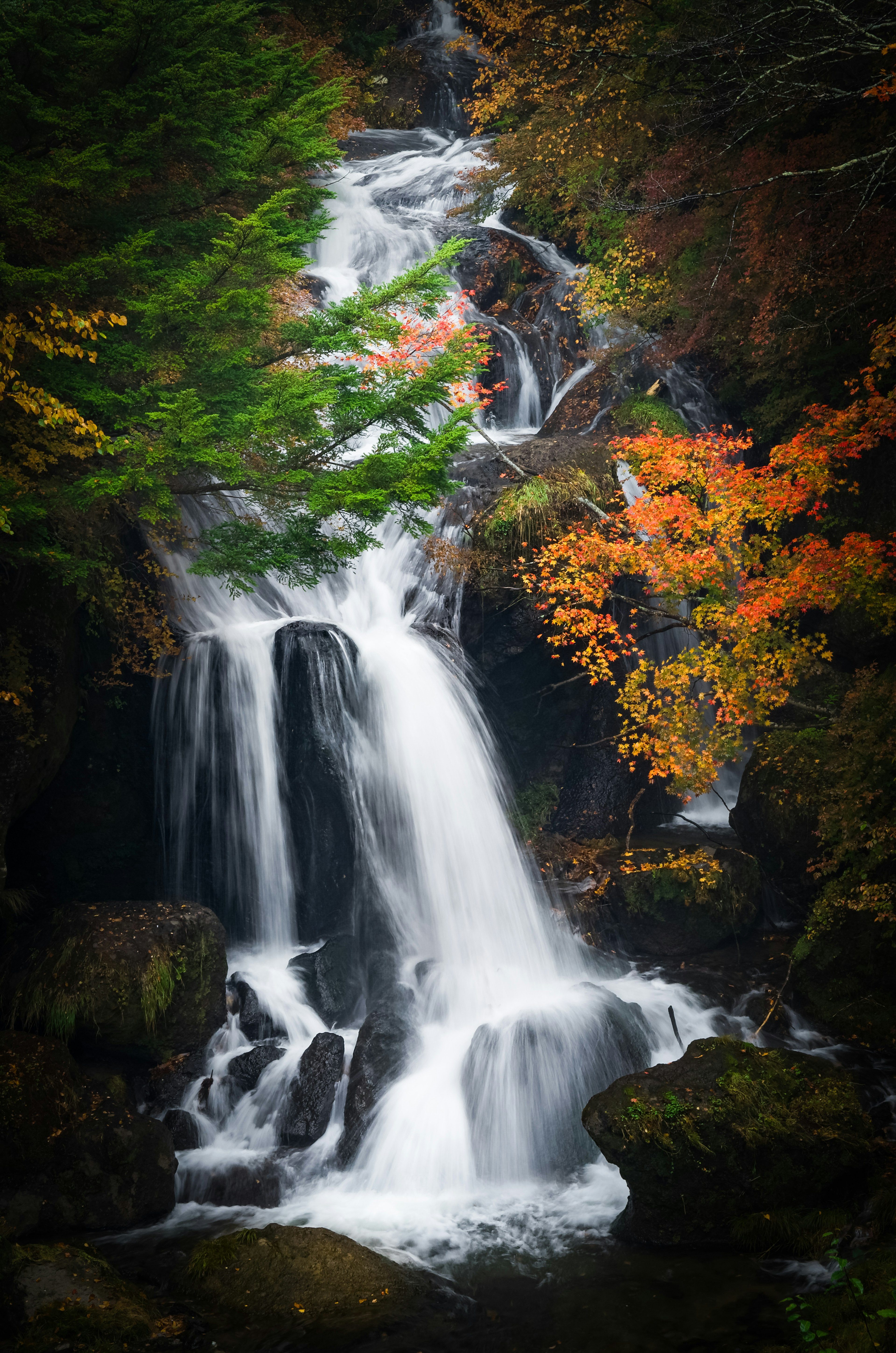 Beautiful waterfall surrounded by autumn foliage