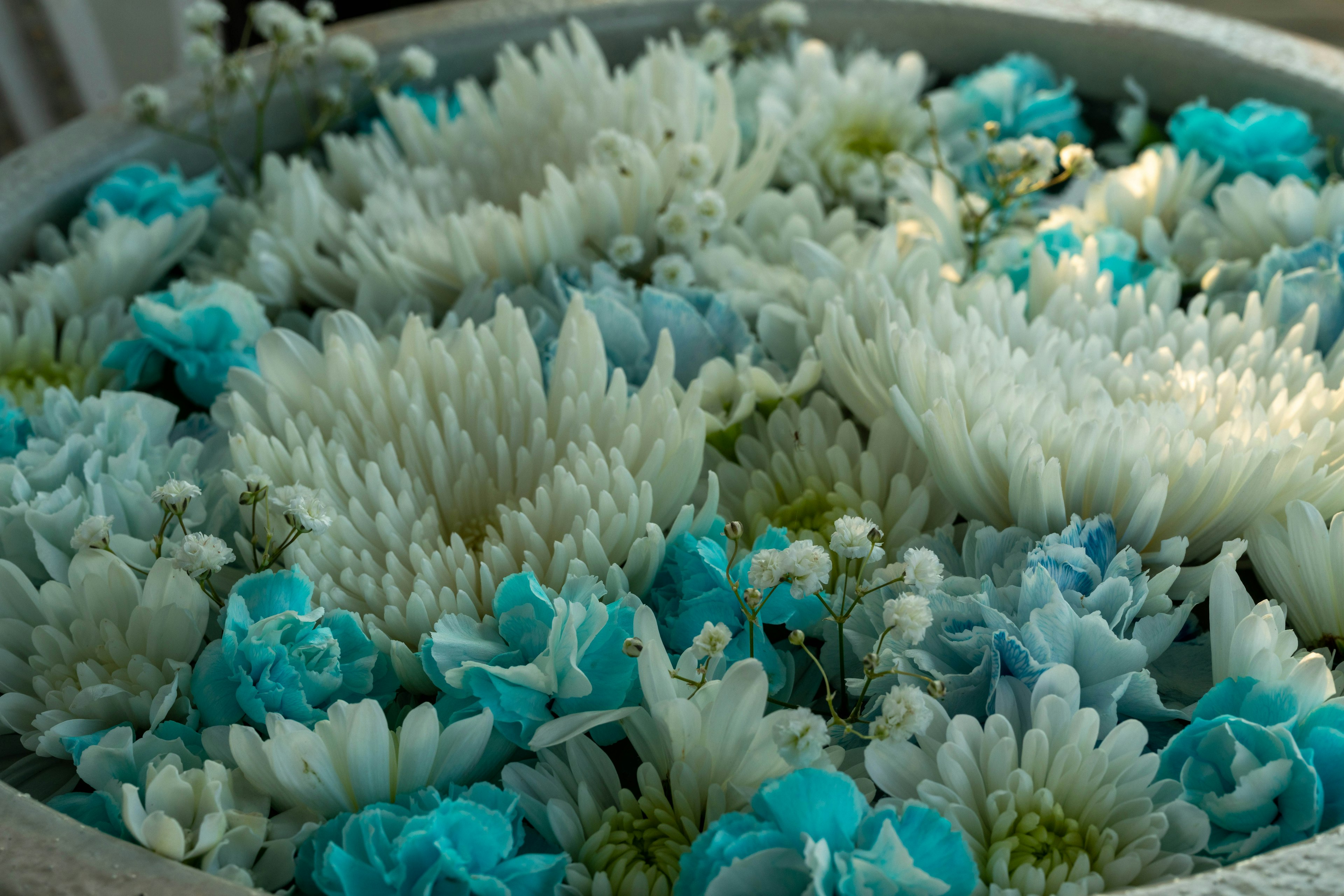 A beautiful floral arrangement featuring blue and white flowers