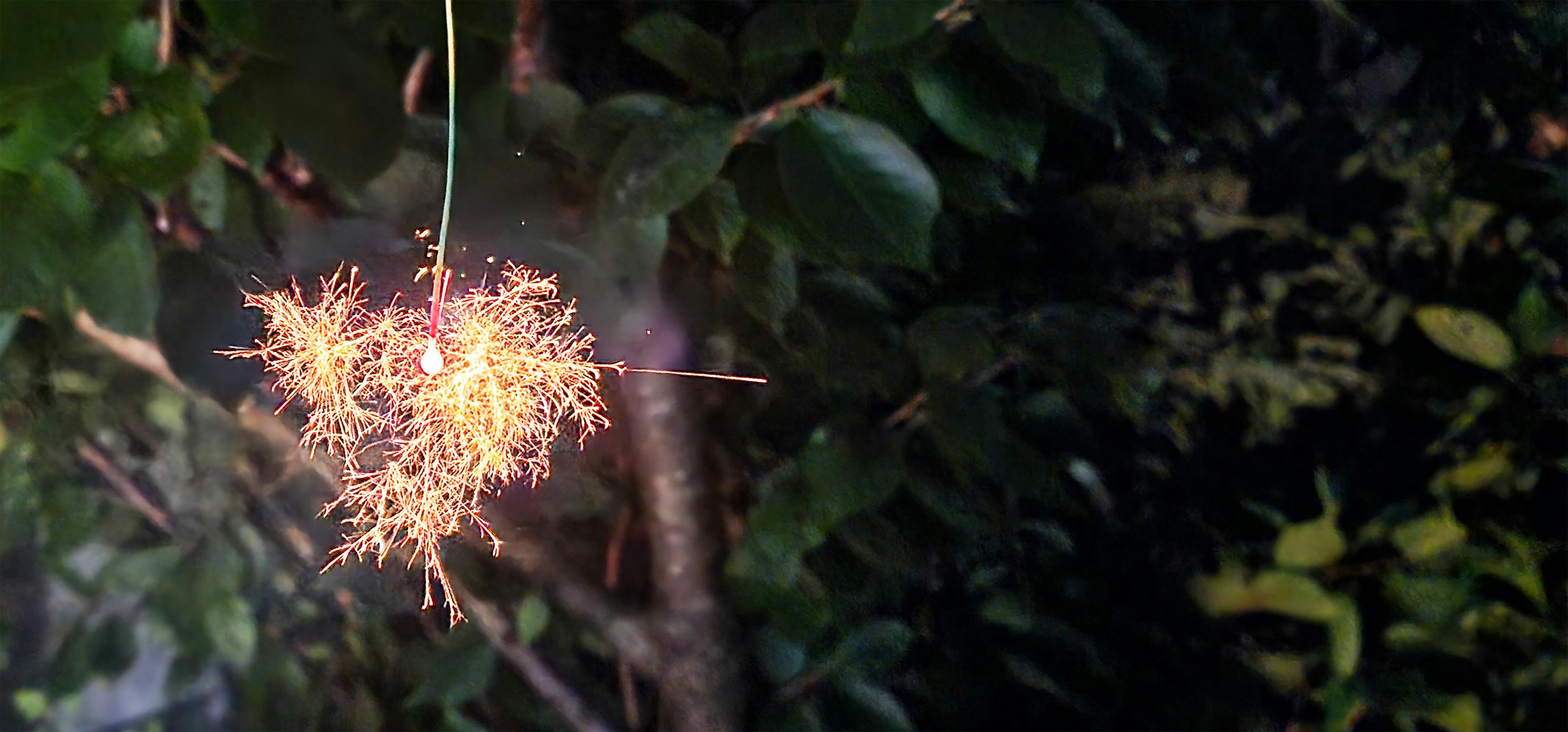 Objet lumineux semblable à un feu d'artifice sur un fond vert