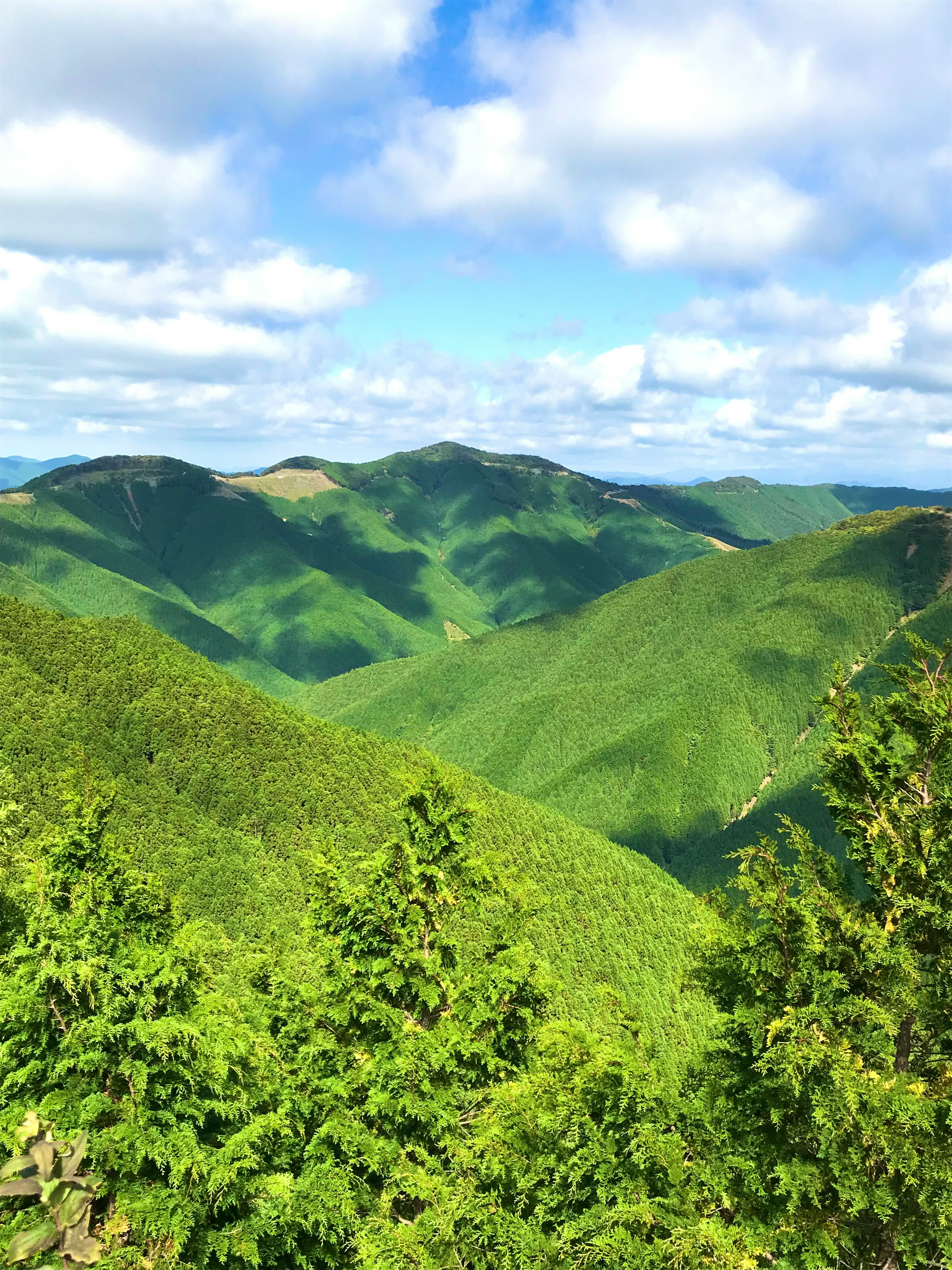 緑の山々と青空の風景