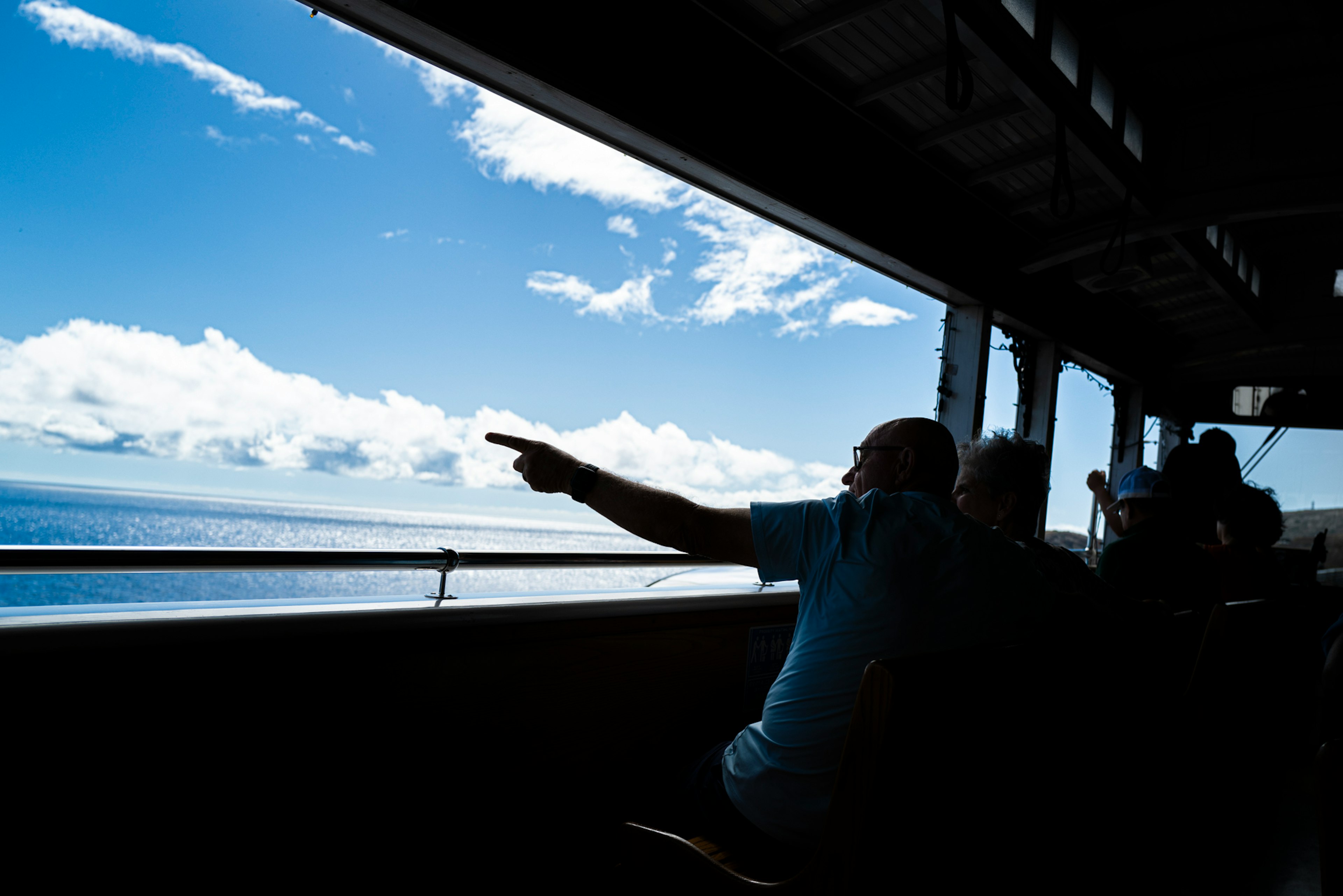 Silhouette di una persona che indica il mare sotto un cielo blu