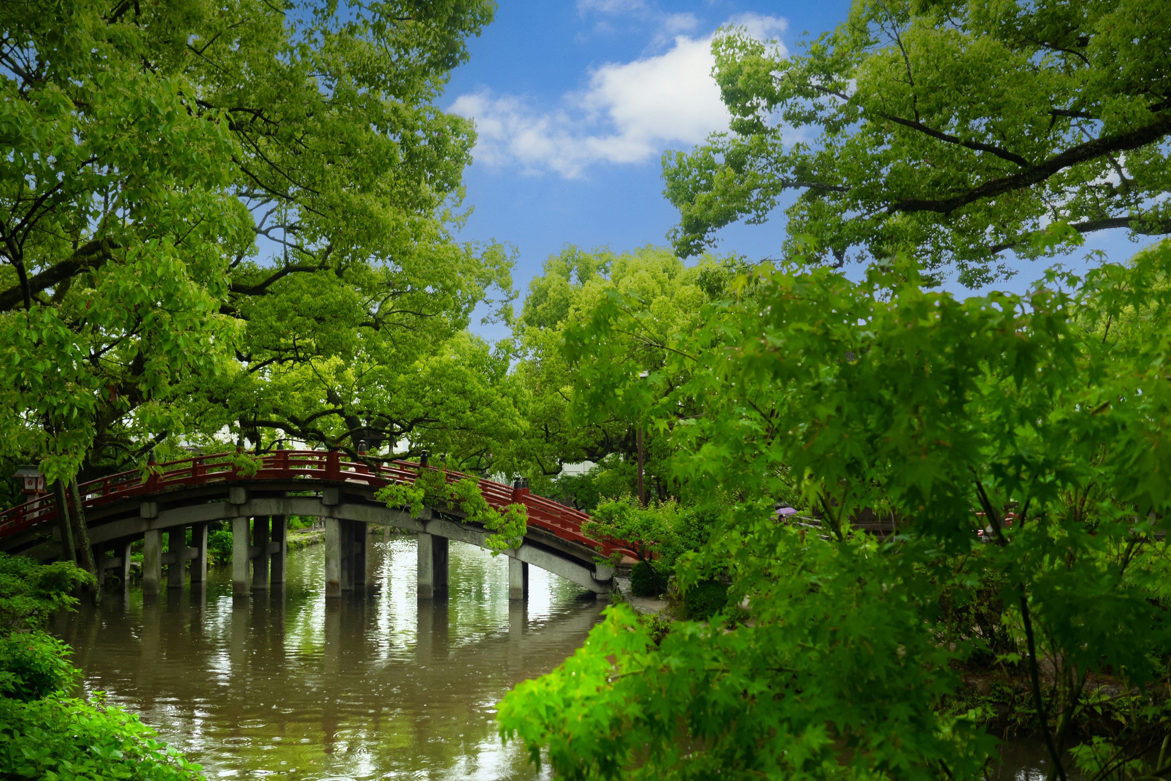 Vista scenica di un piccolo ponte circondato da verde lussureggiante e acqua calma