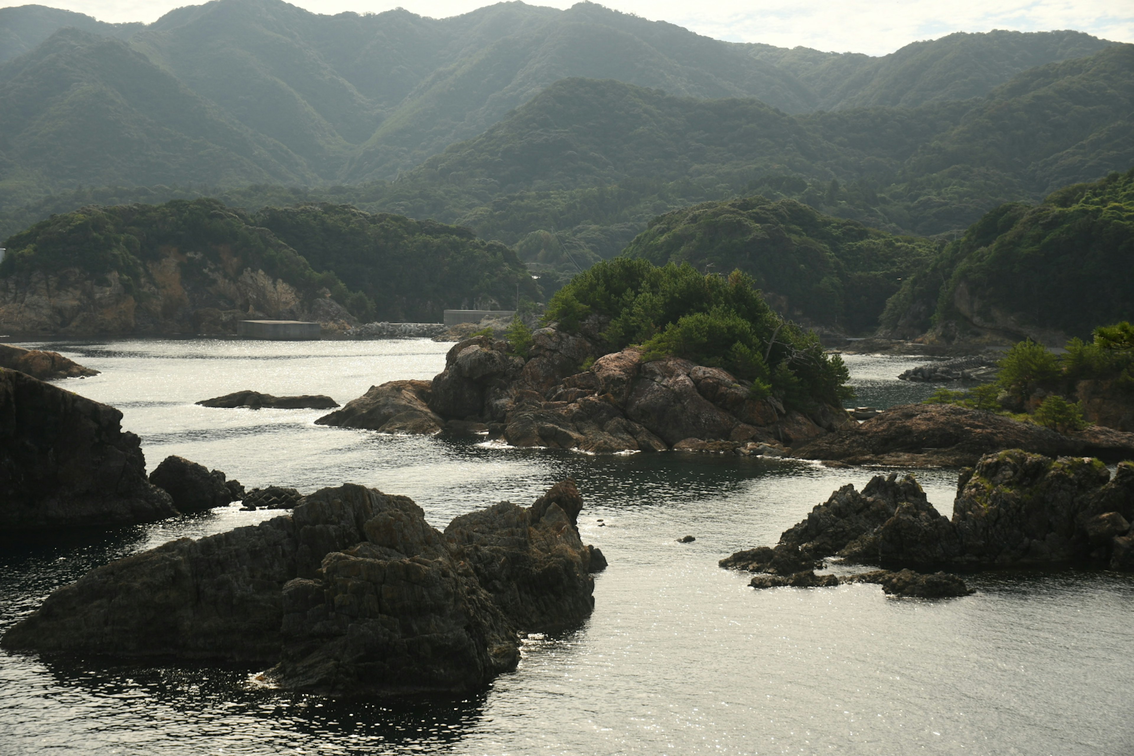 静かな海と緑の山々の風景