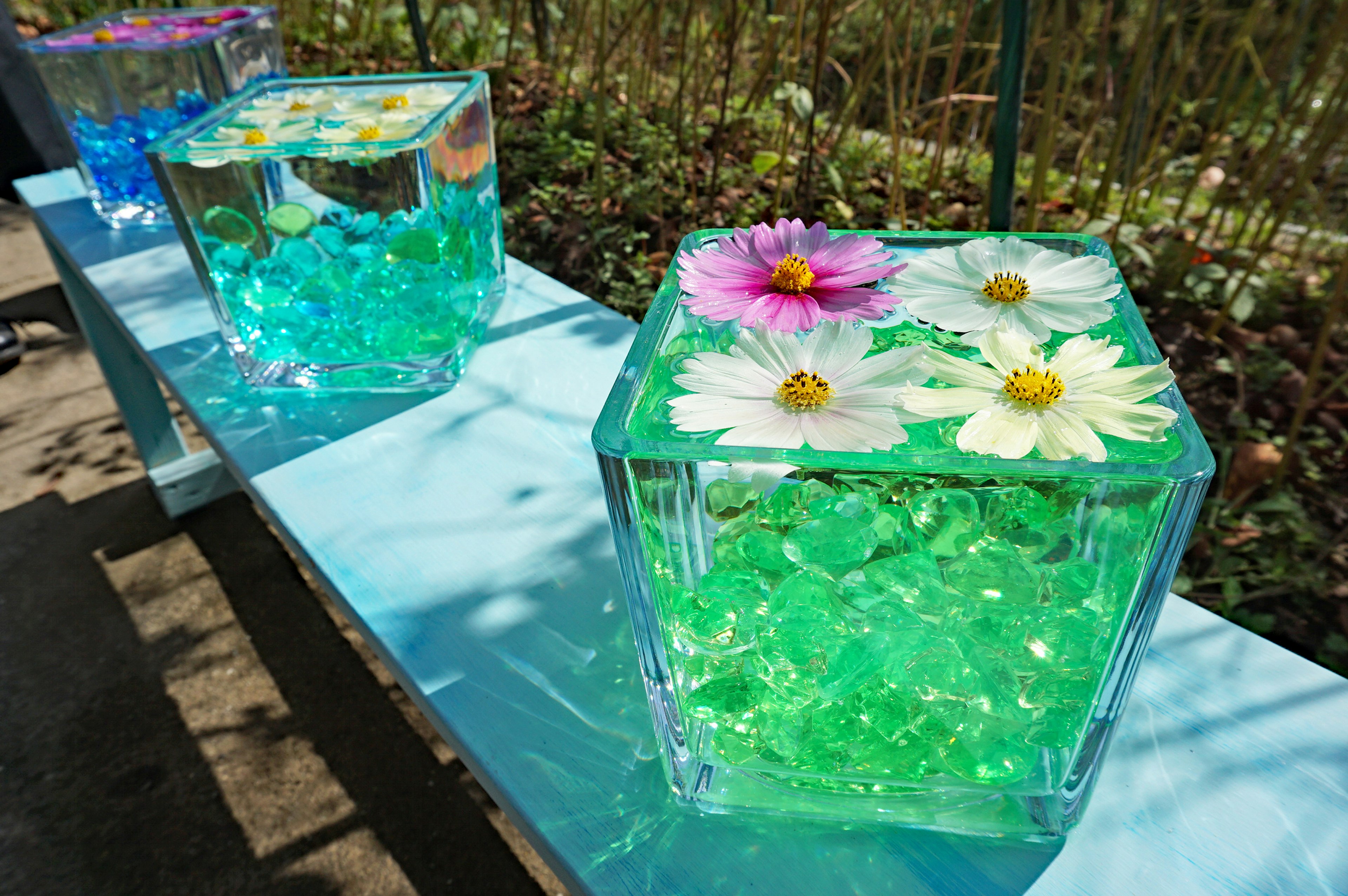 Des fleurs colorées flottant dans des contenants en forme de cube transparent disposés sur une surface bleue