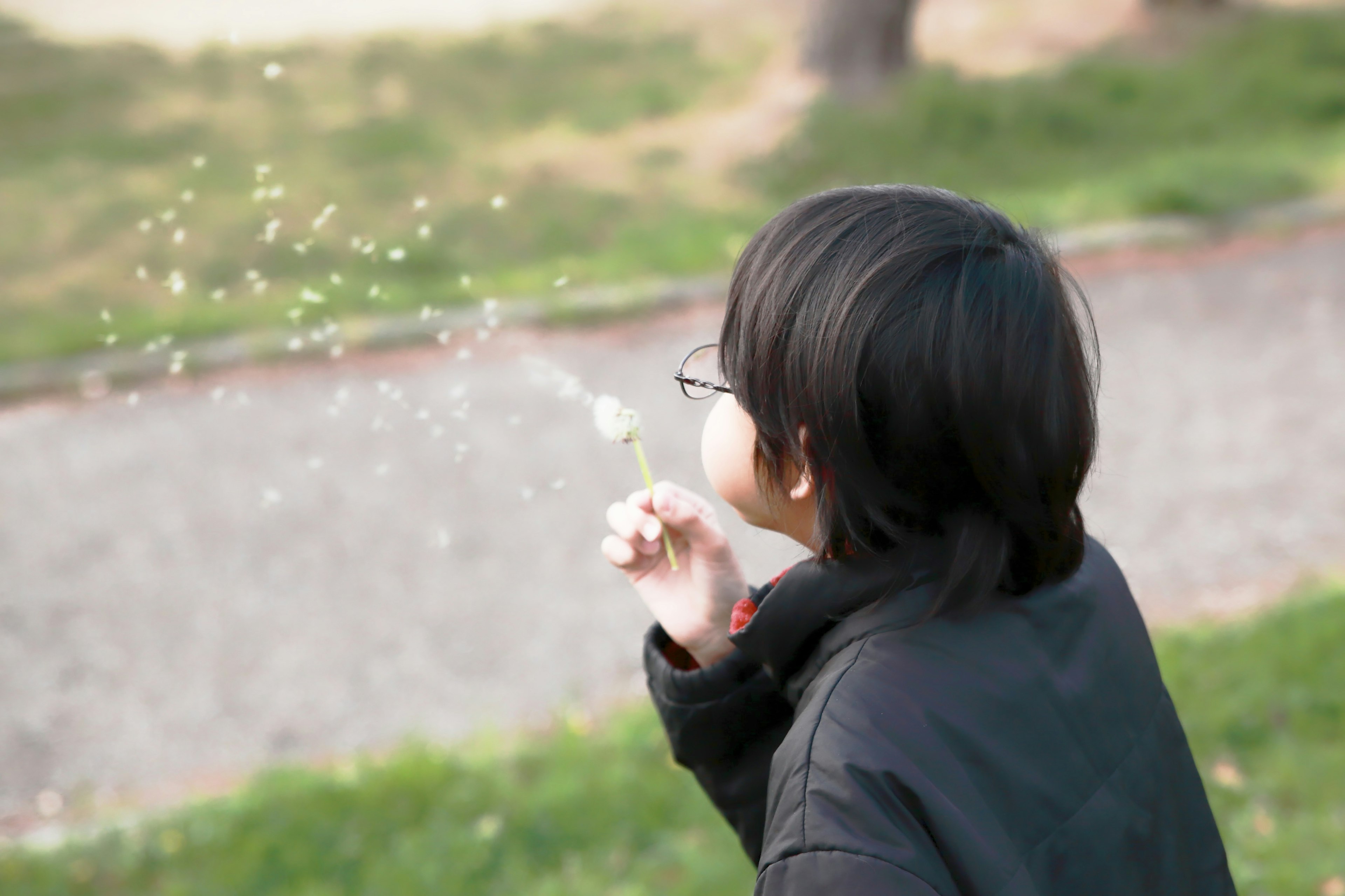 Child blowing dandelion seeds in a park