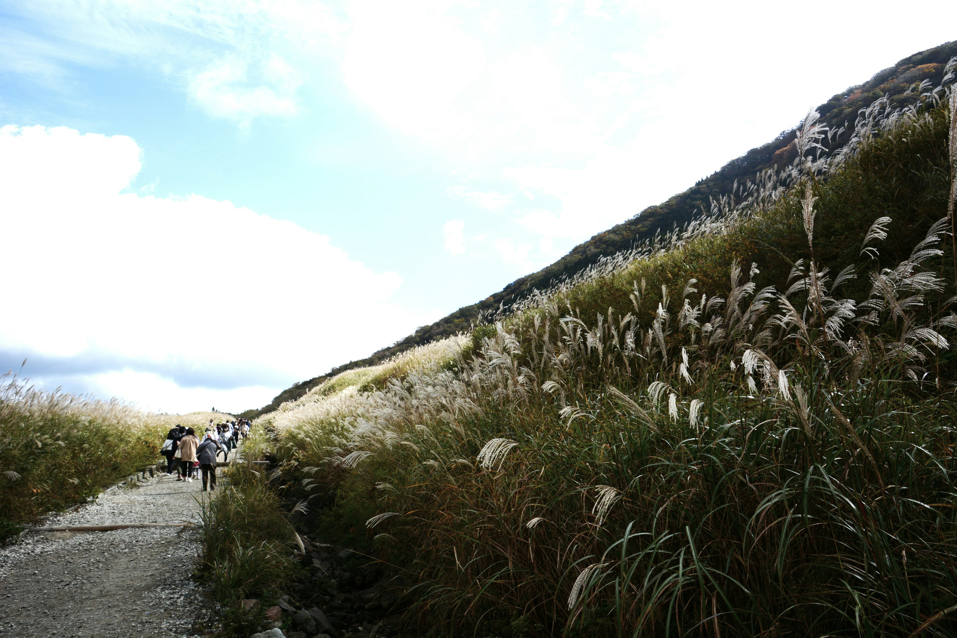 Des gens marchant le long d'un chemin à côté d'une colline herbeuse sous un ciel nuageux