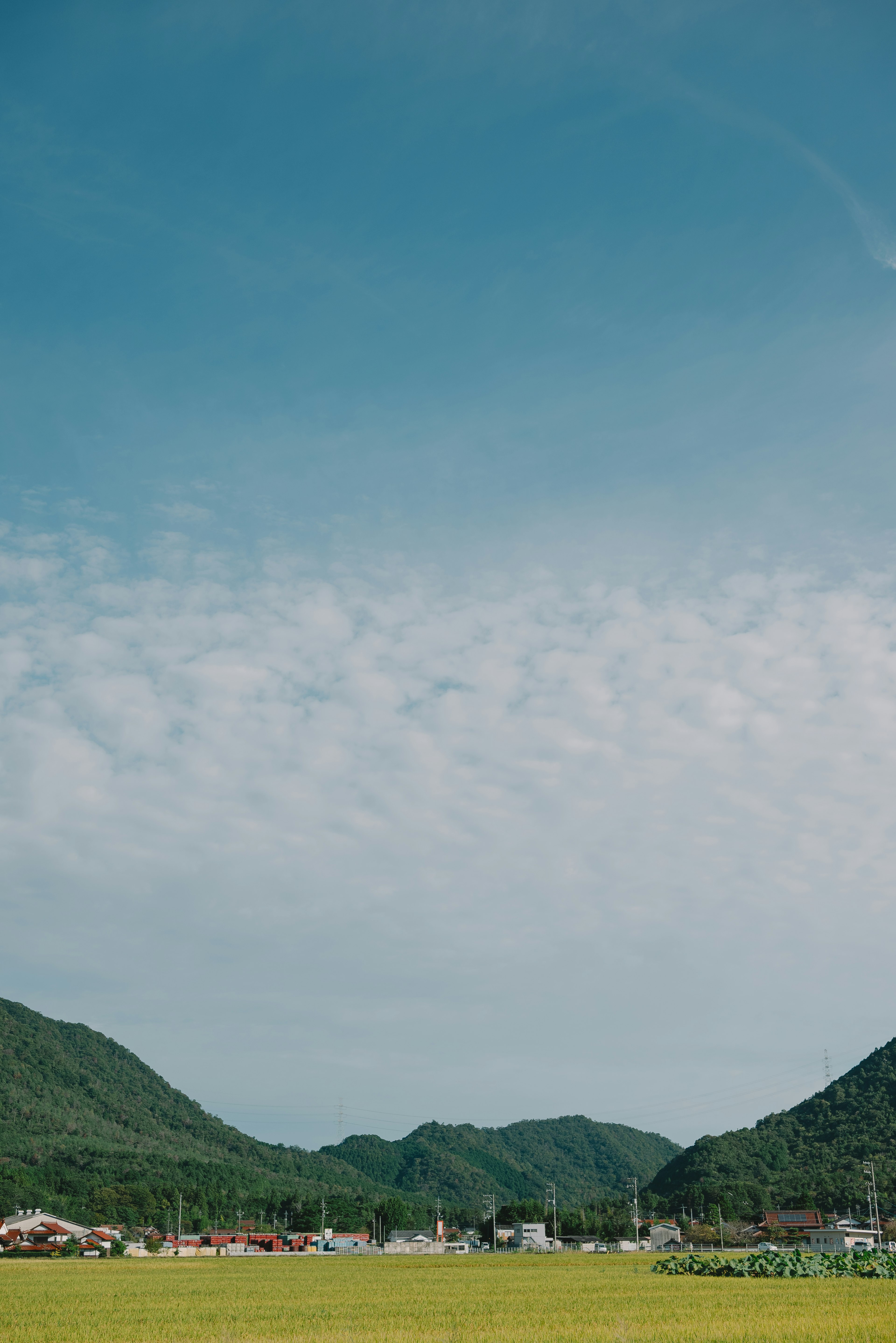 藍天和雲的風景 綠色山脈和稻田