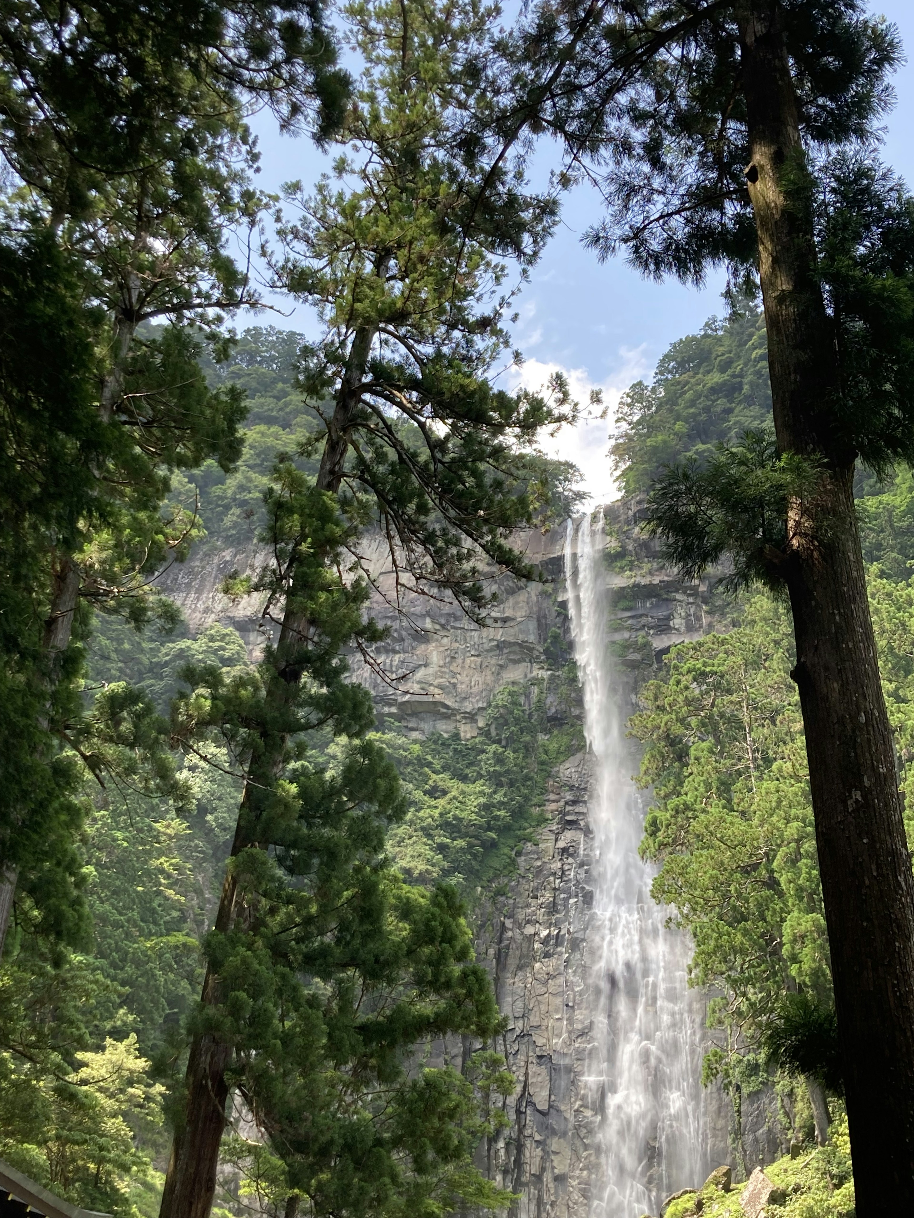 Pemandangan indah air terjun dikelilingi pohon tinggi dan vegetasi yang rimbun