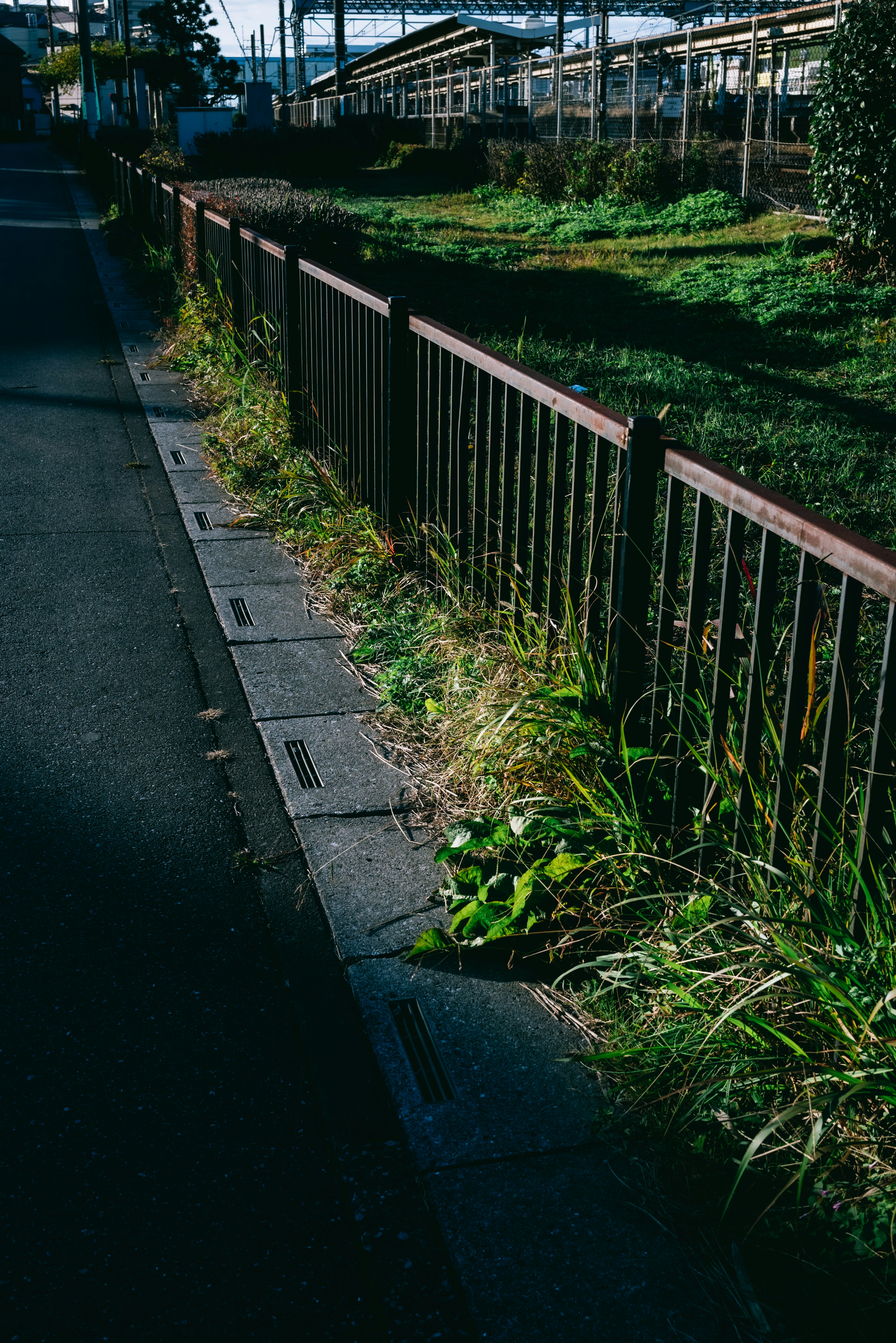 道路の横にある木製のフェンスと緑の草地