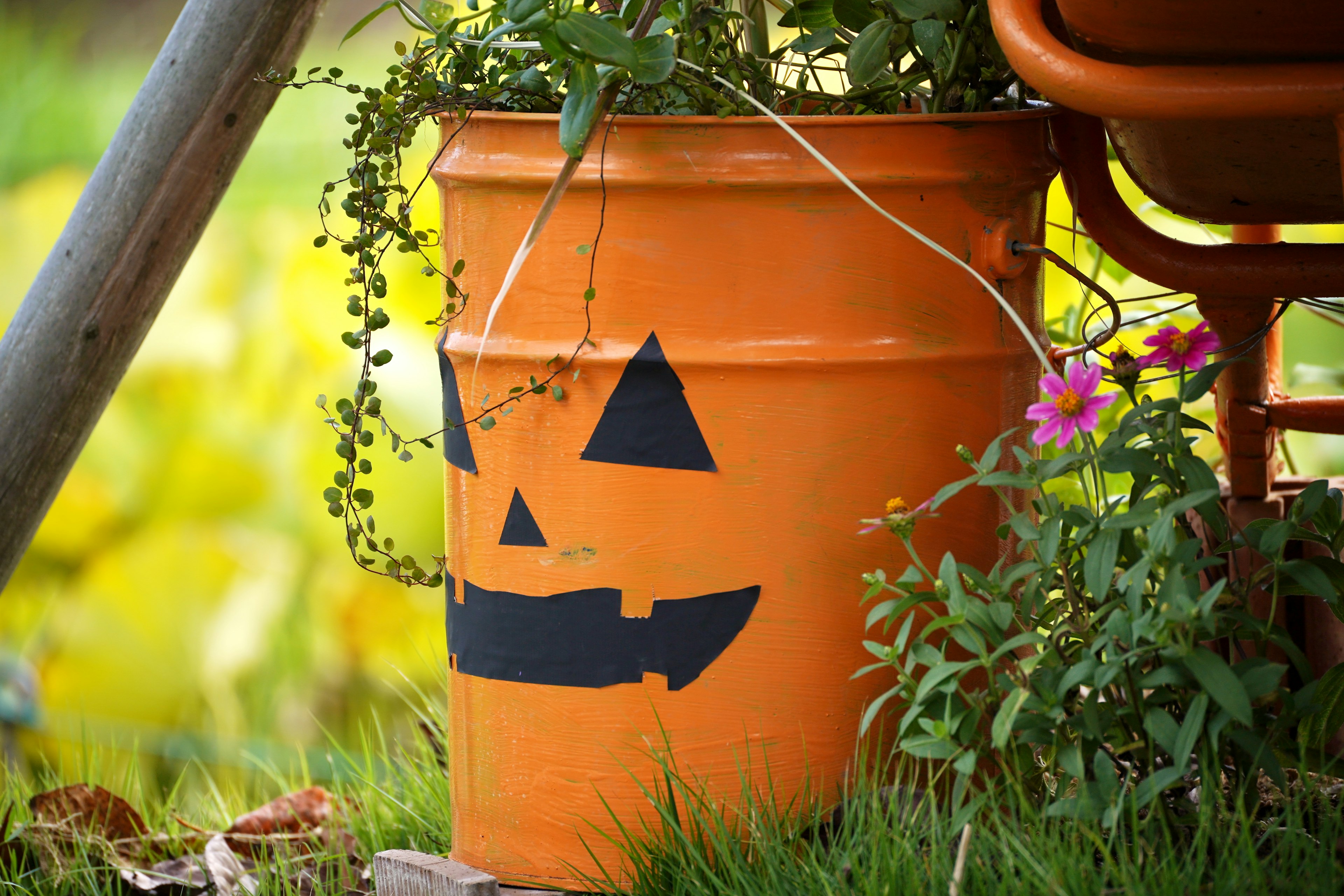 An orange bucket with a painted jack-o'-lantern face surrounded by greenery