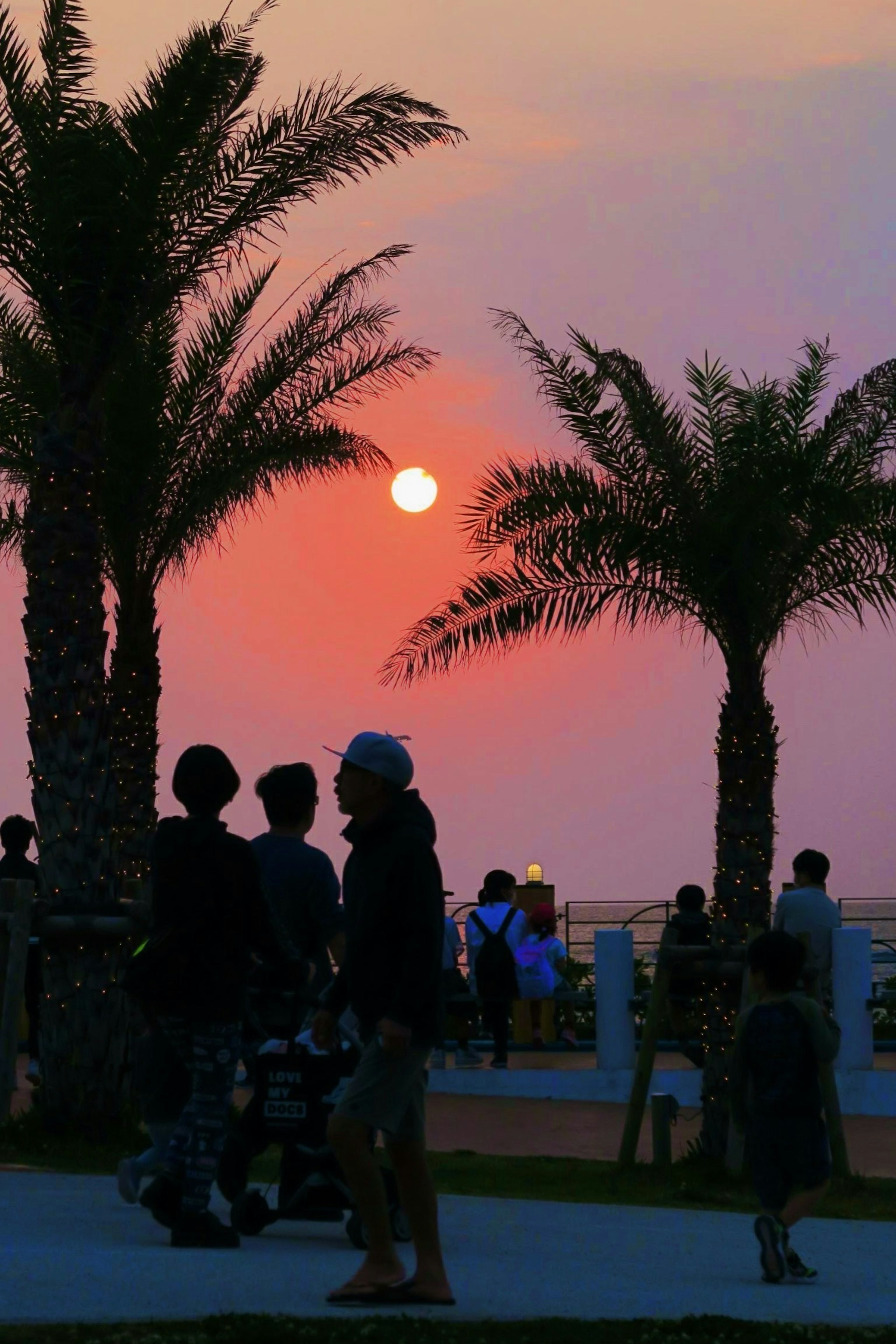 Silhouettes of people and palm trees against a sunset