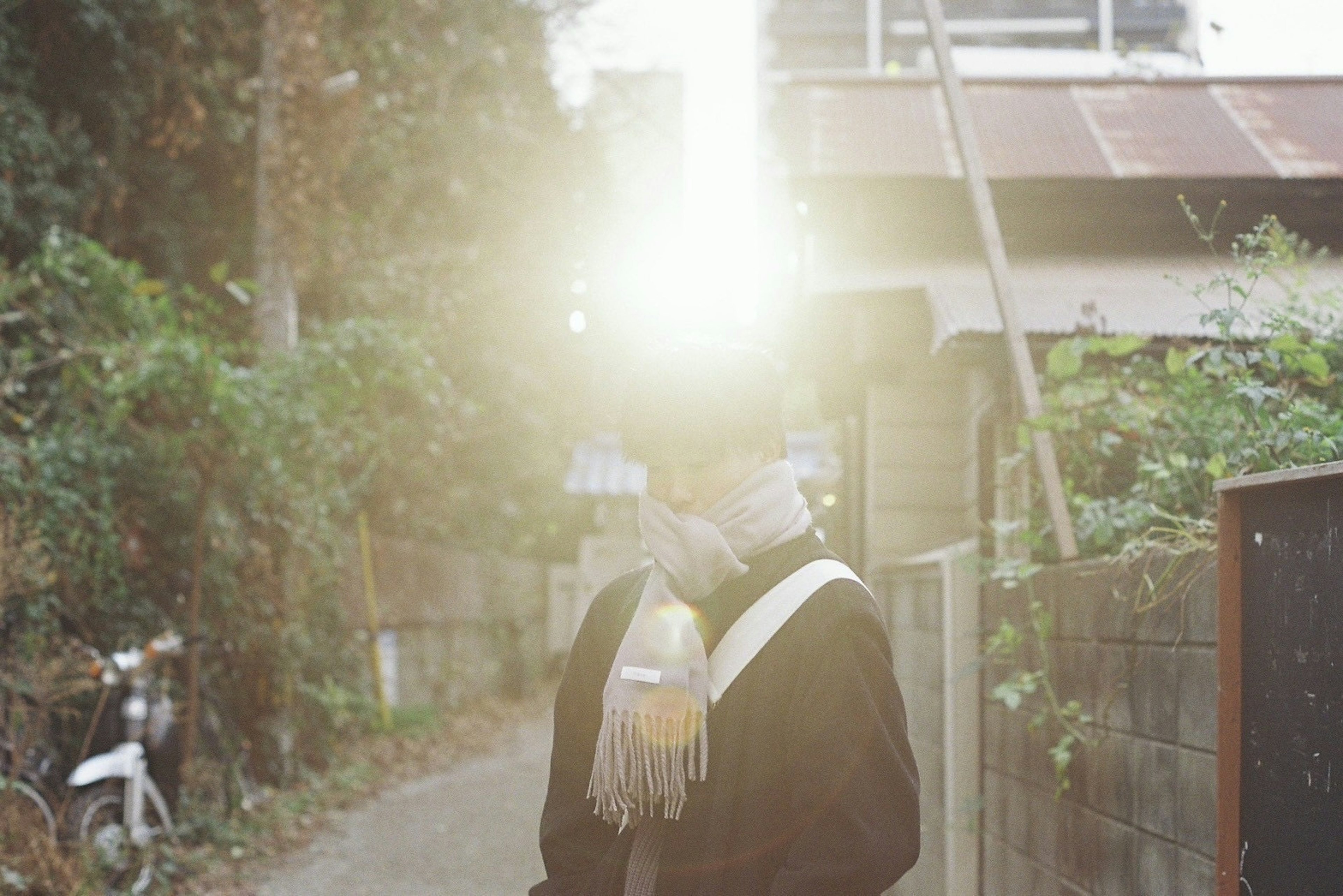 A person surrounded by radiant light in a scenic setting