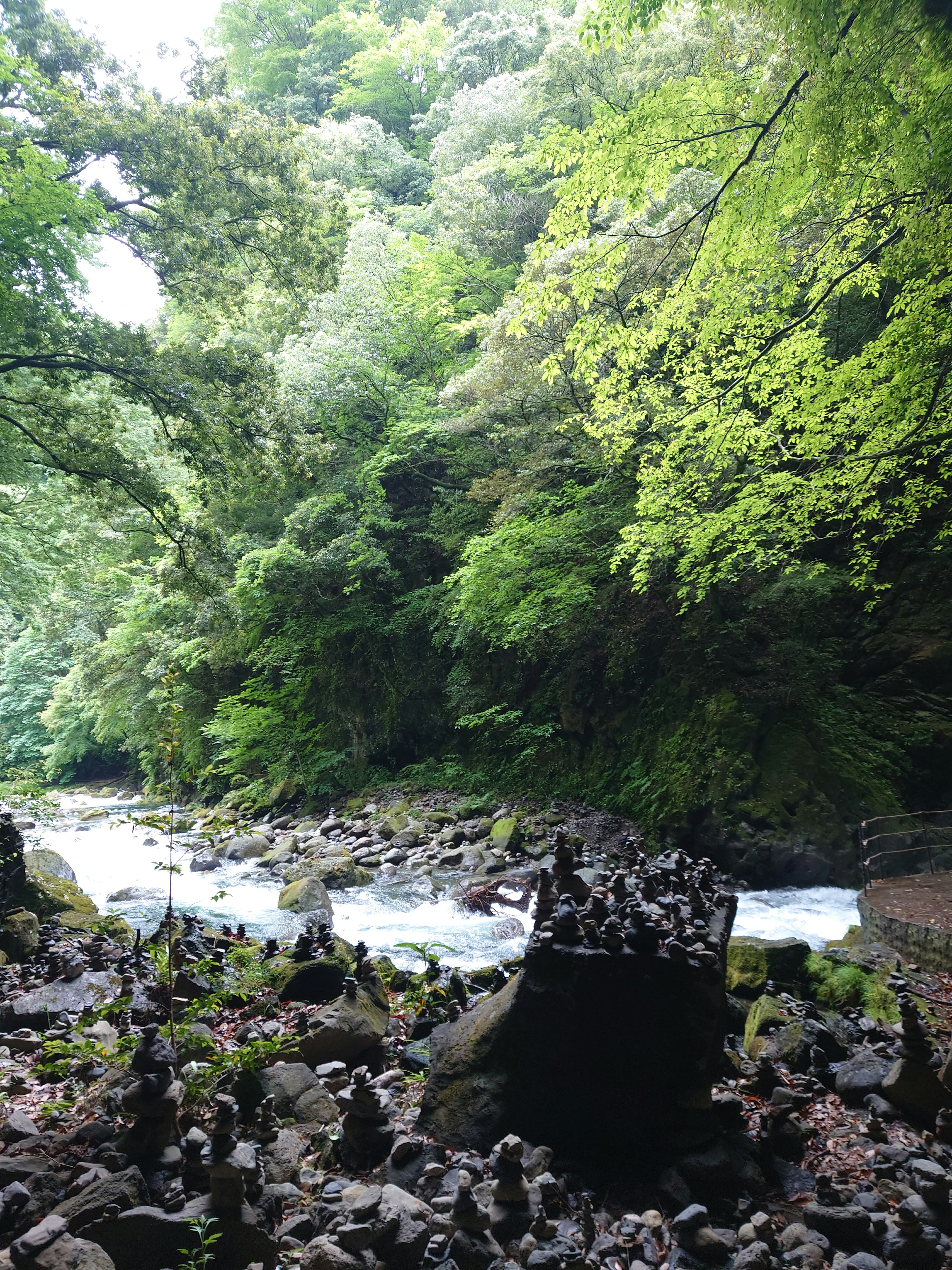 Malersicher Blick auf einen Fluss, umgeben von üppigen grünen Bäumen