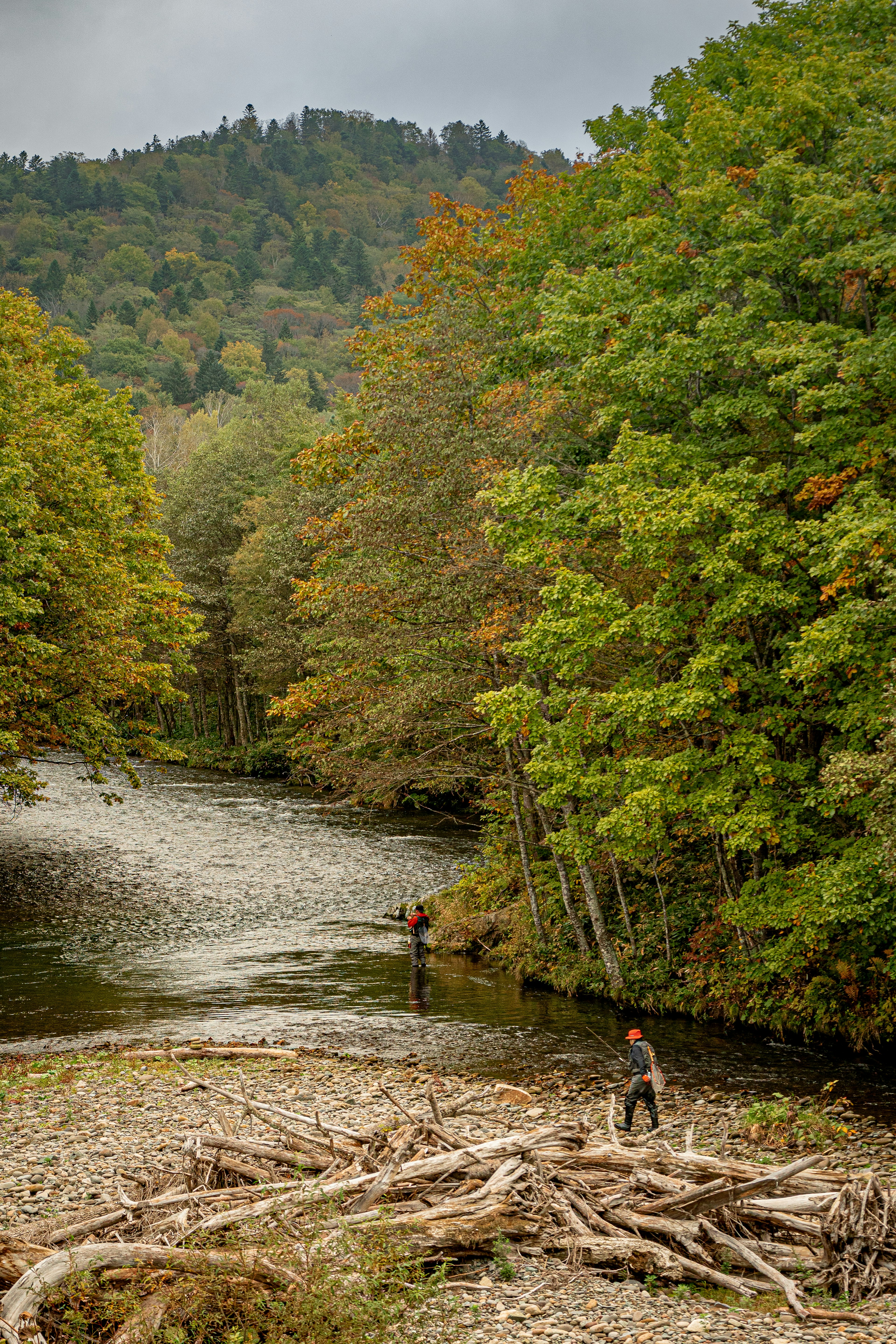 Persone in piedi su legno galleggiante vicino a un fiume circondato da alberi verdi e fogliame autunnale