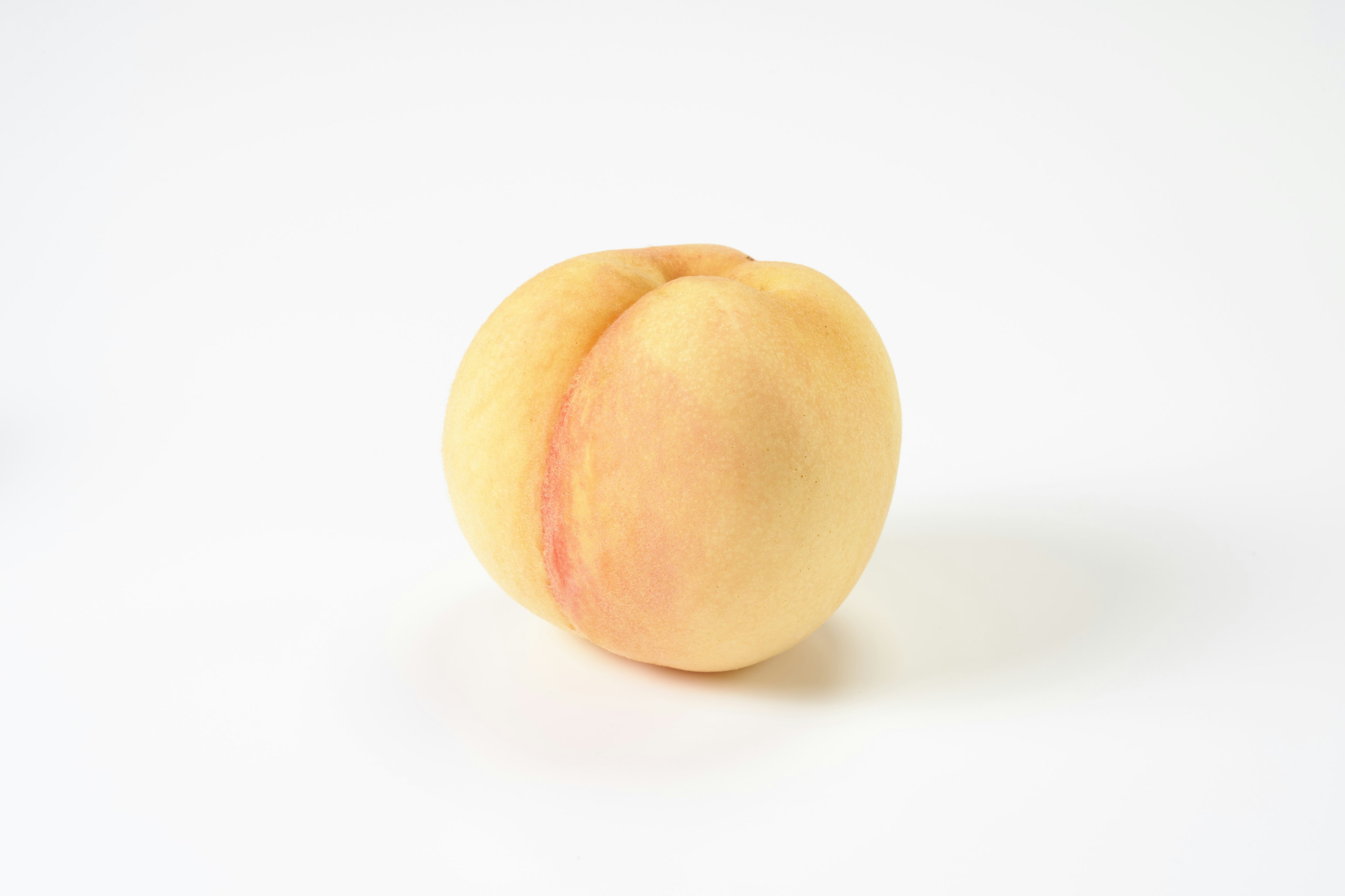 Peach fruit placed on a white background