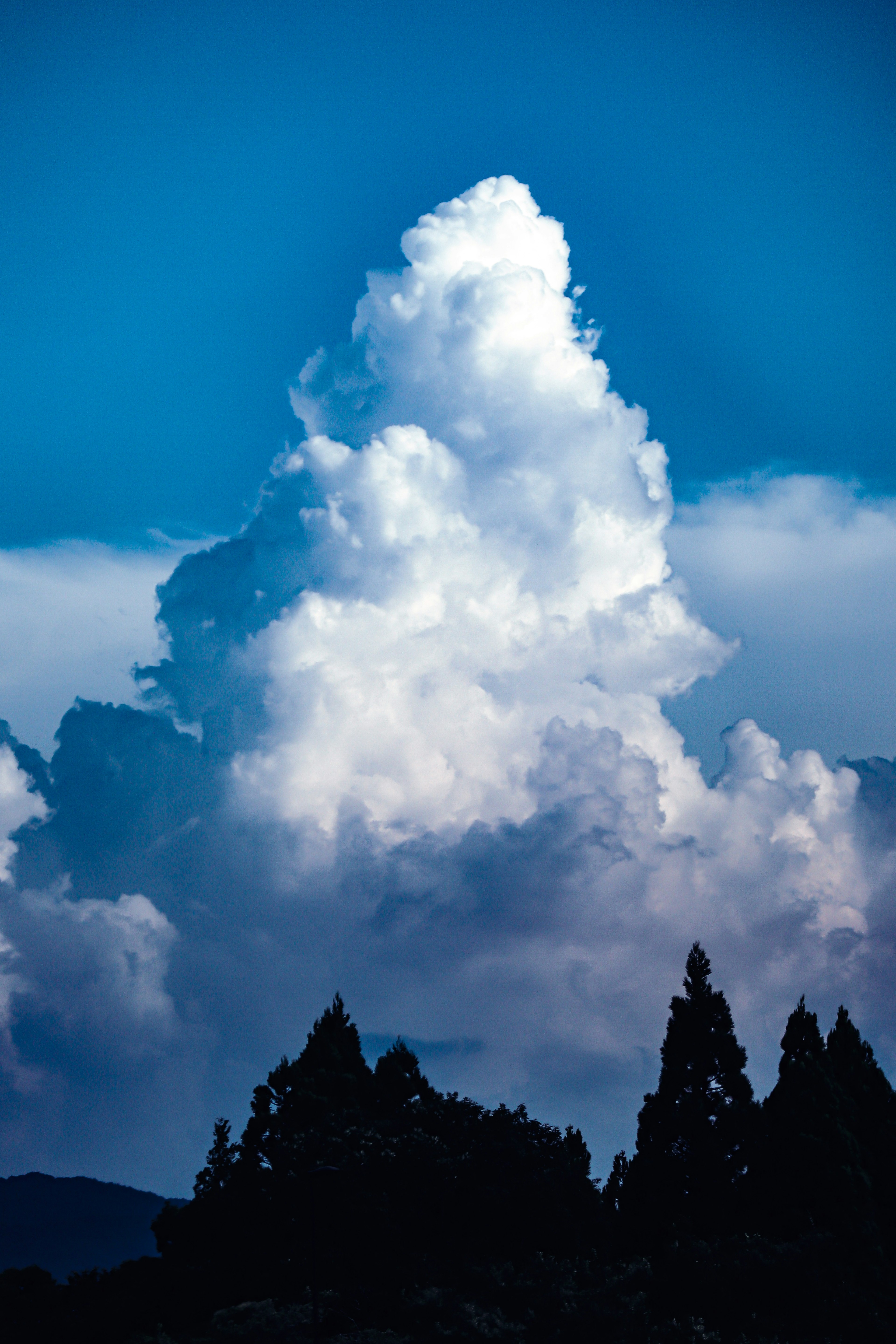 Eine große Wolkenformation unter einem blauen Himmel mit silhouettierten Bäumen