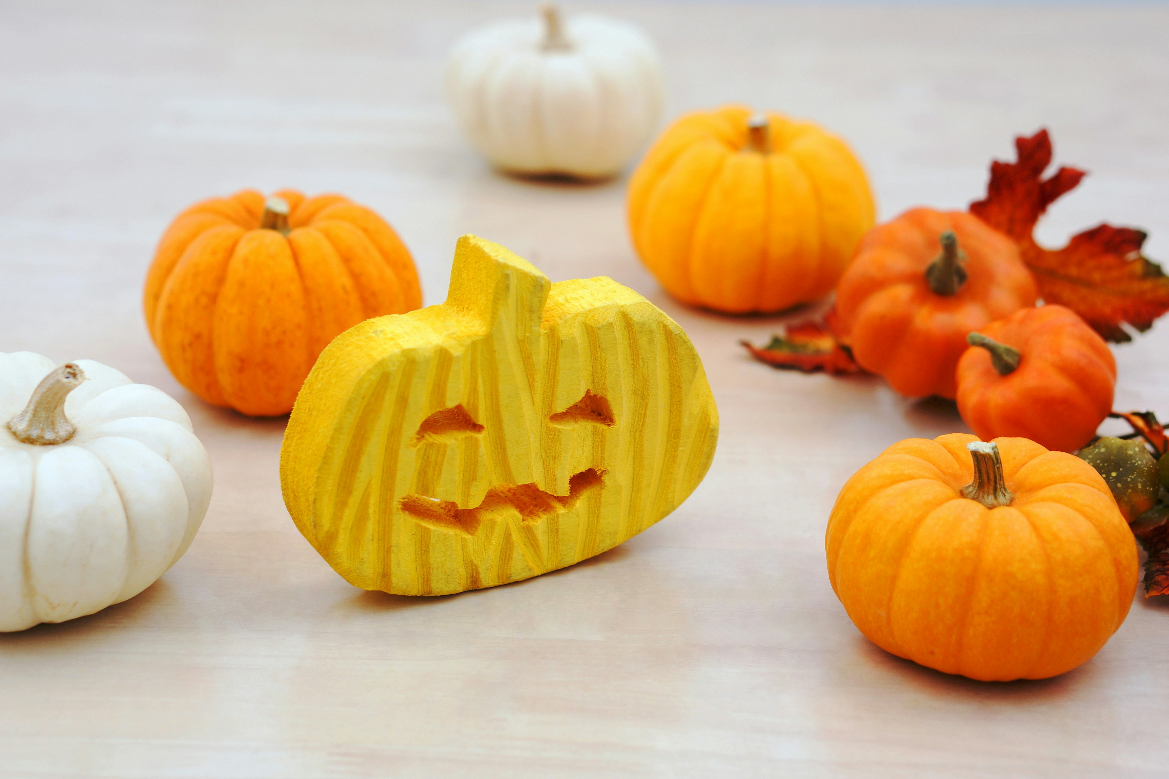 Colorful pumpkins and white pumpkins arranged as autumn decoration