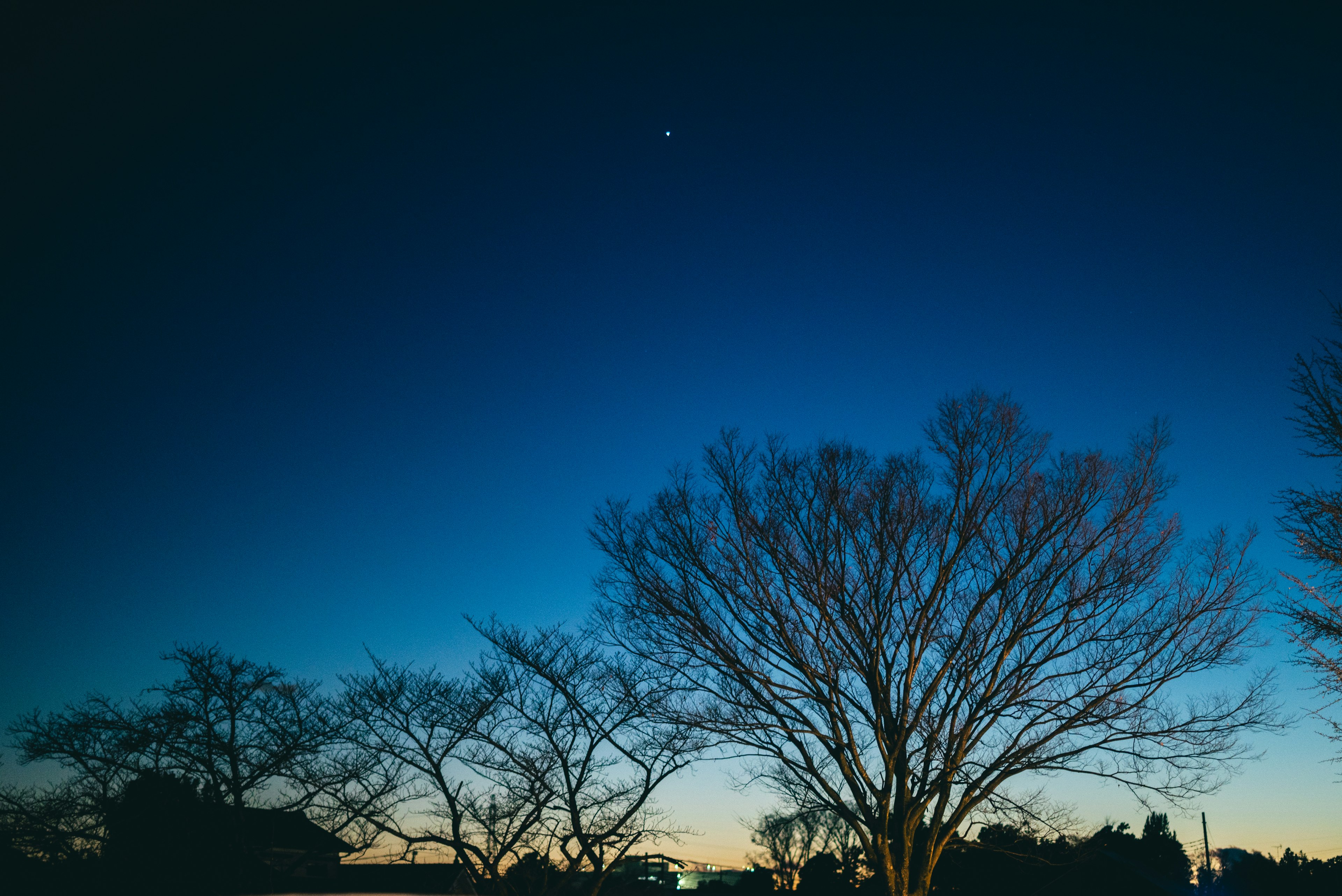 Silueta de árboles contra un cielo crepuscular con una estrella visible