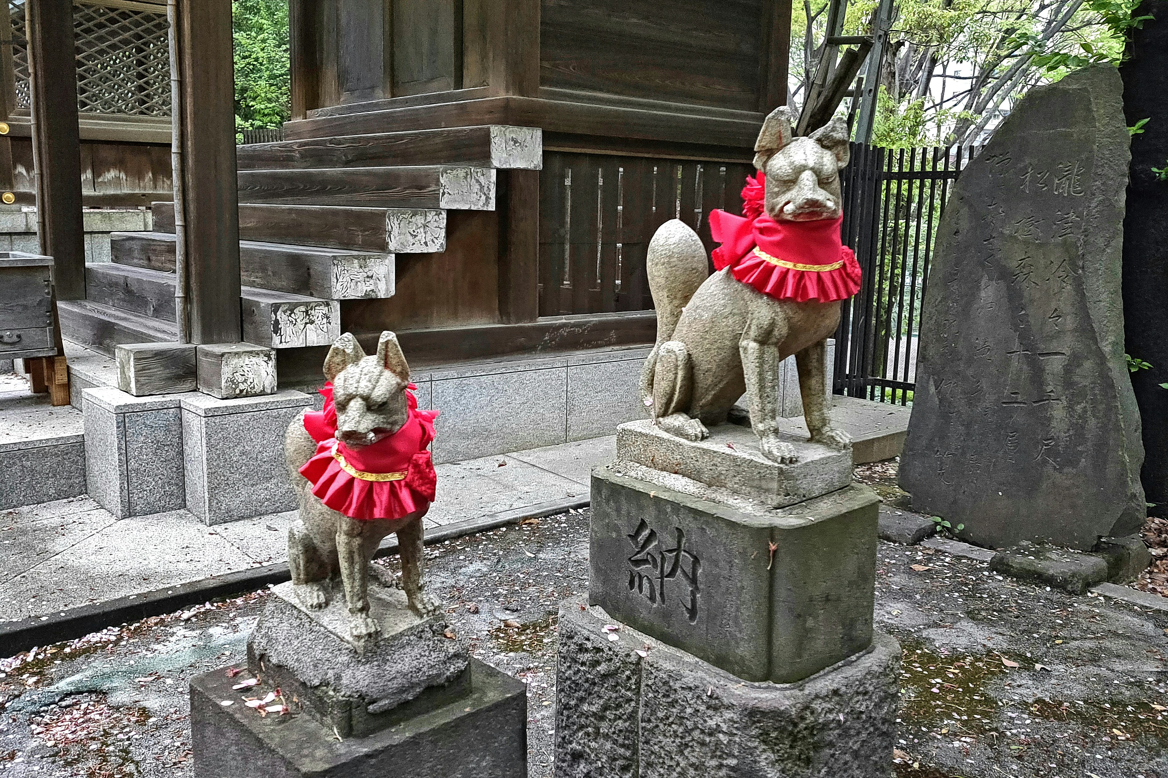 赤い襟巻きをつけた二体の犬の像が神社の前に立っている