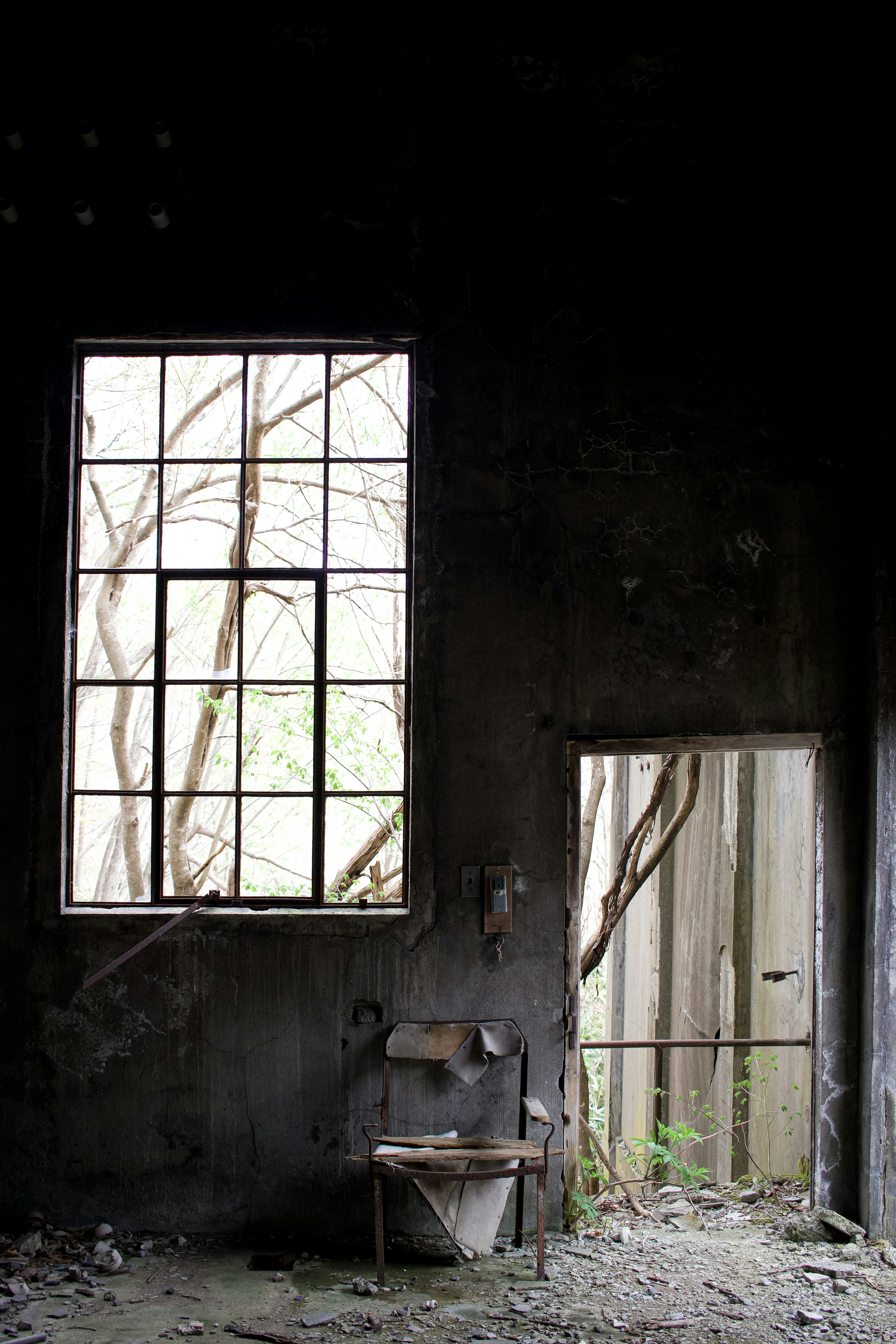 Abandoned interior with a window and door surrounded by tree branches