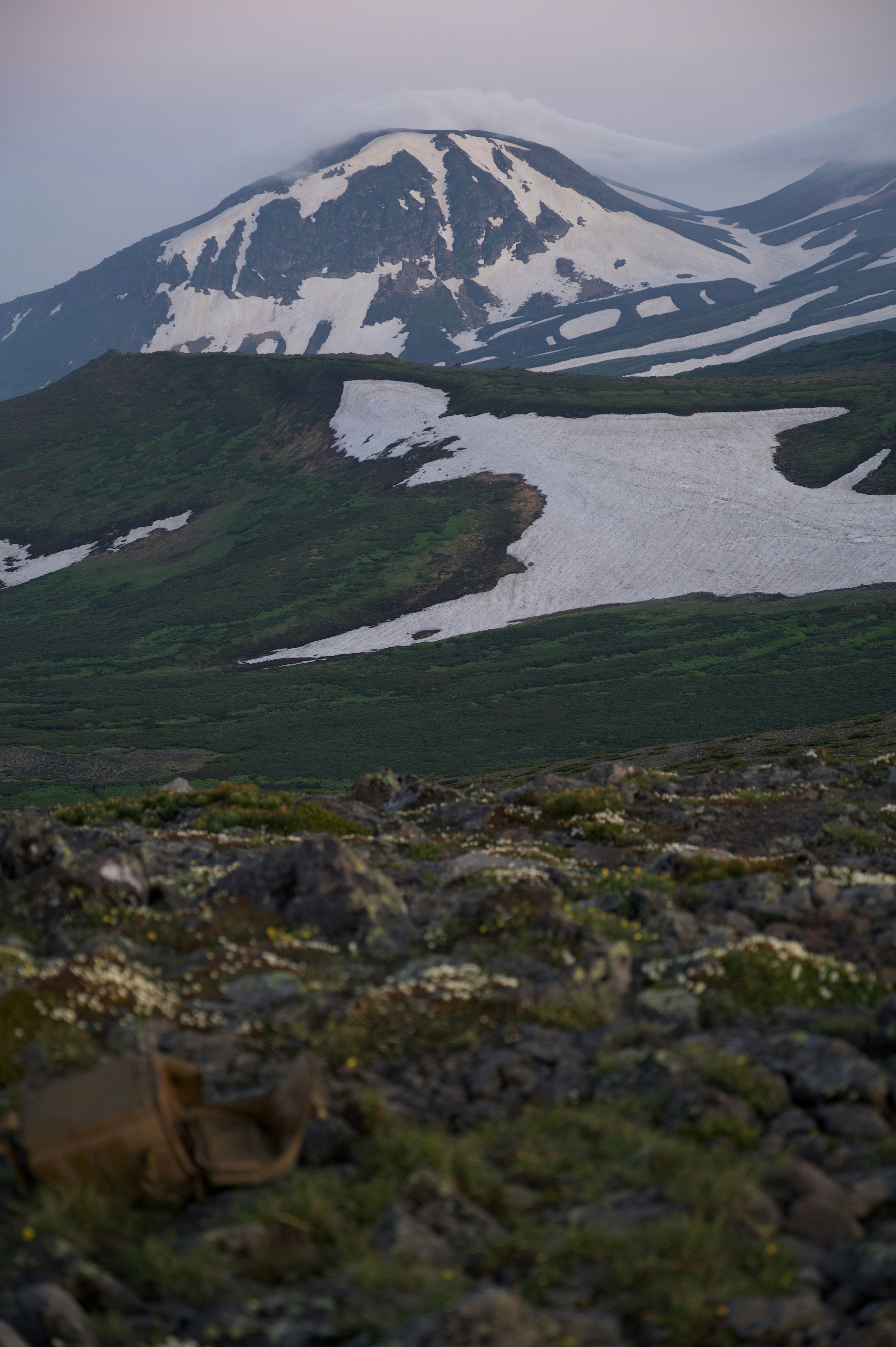 Snow-covered mountain with green fields and rocky terrain