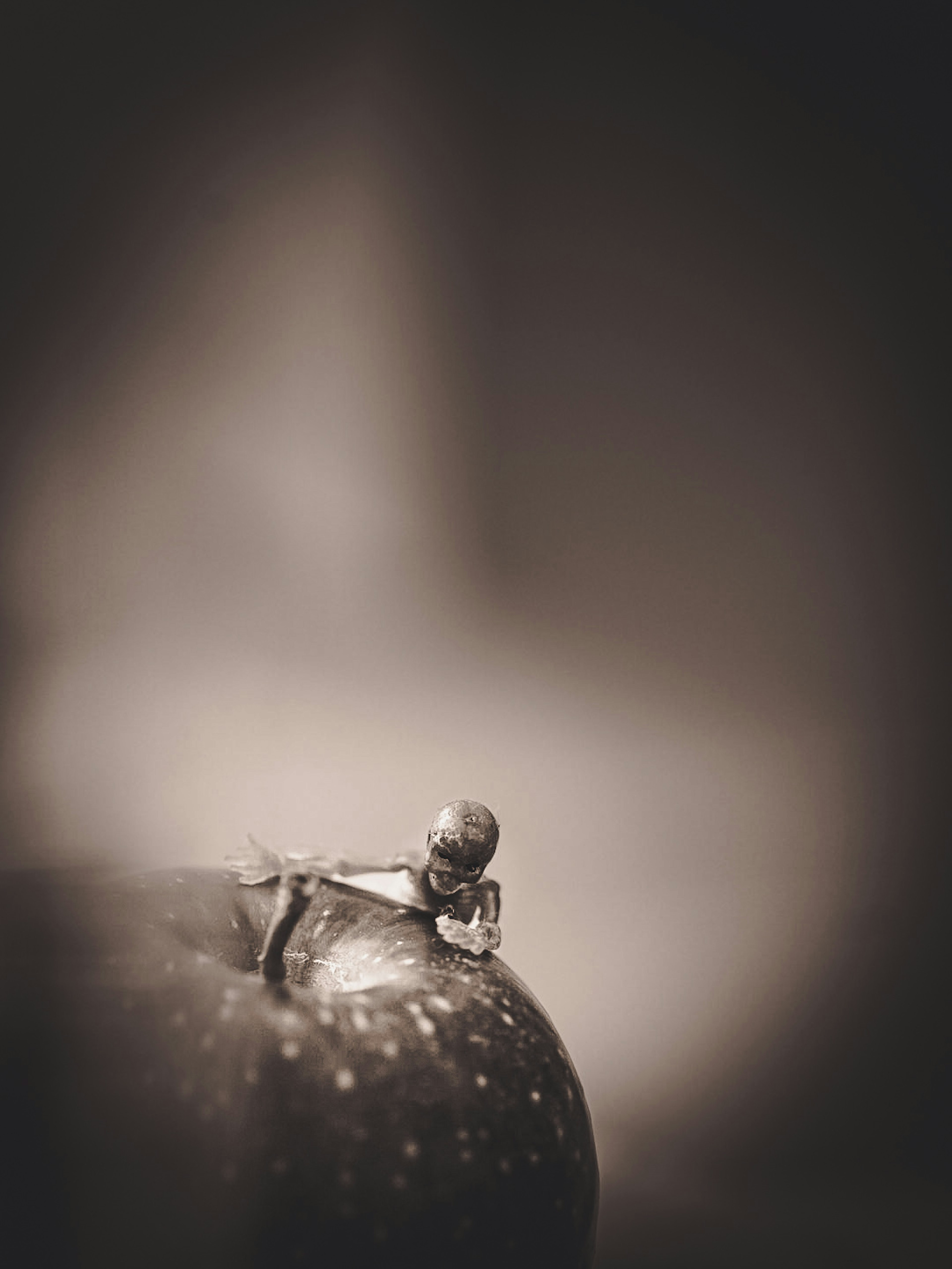 A small figure sitting on top of an apple in black and white