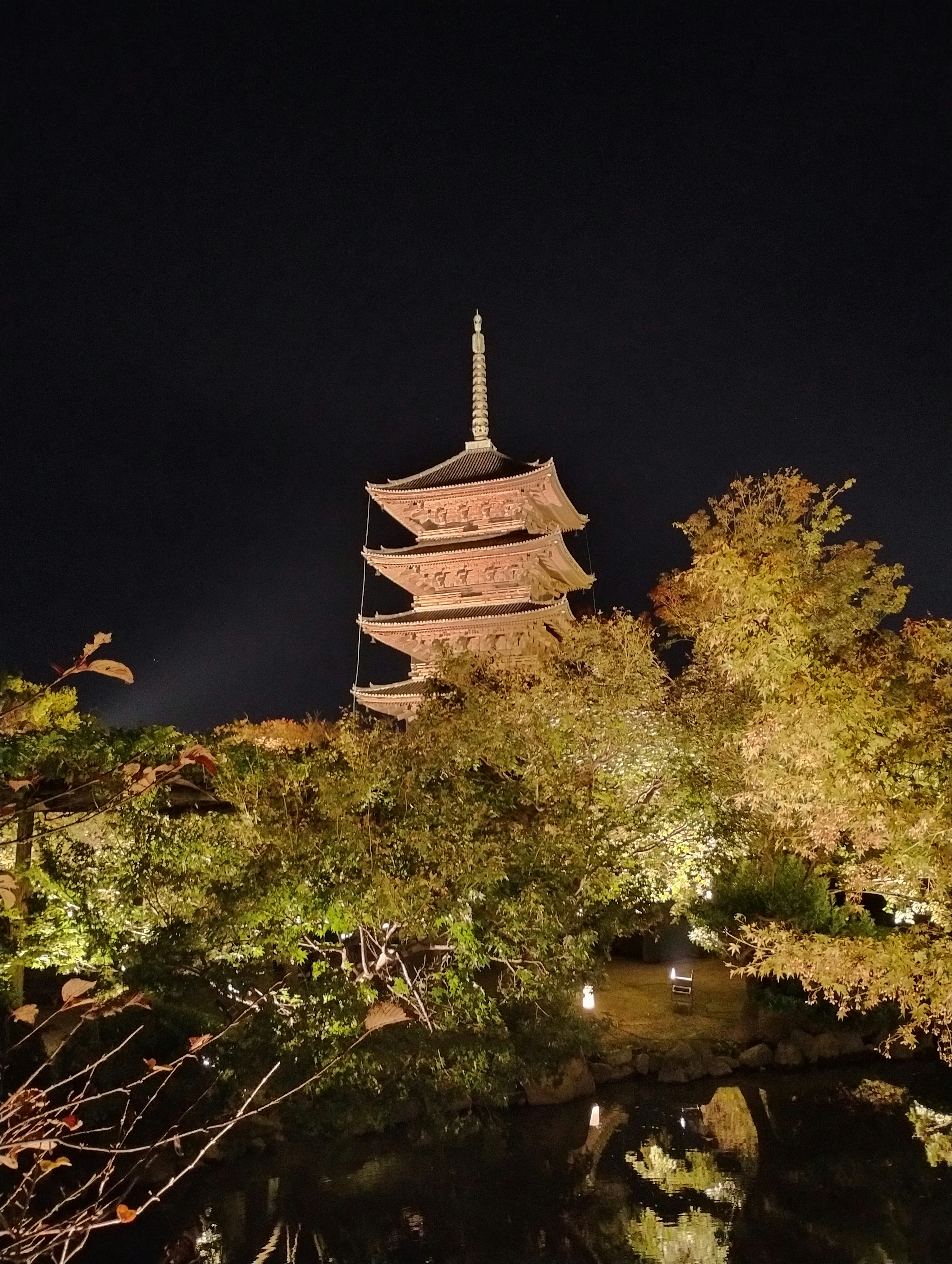 夜晚五層塔被美麗照亮，周圍是五彩繽紛的樹木