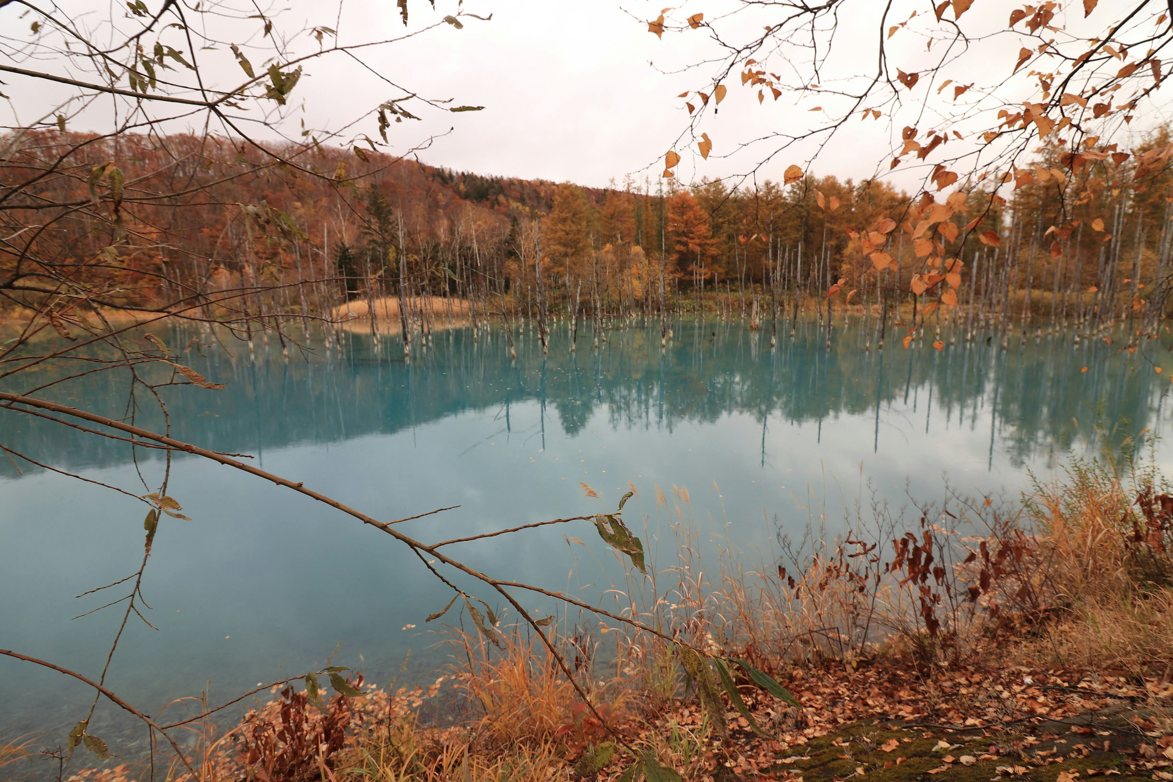 Un lago tranquilo con agua azul clara que refleja el follaje otoñal