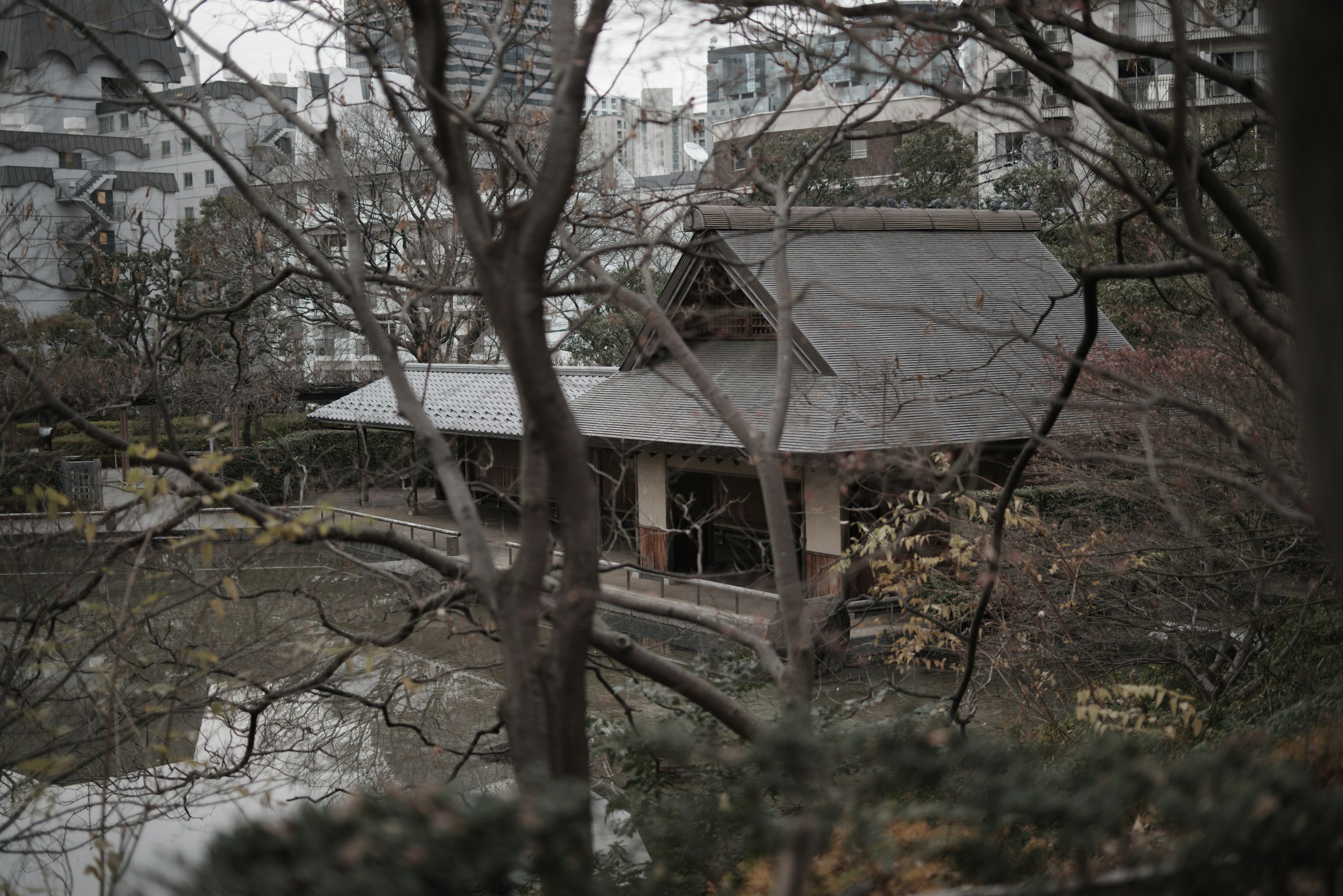 寧靜的公園場景，帶有日本茶室和池塘