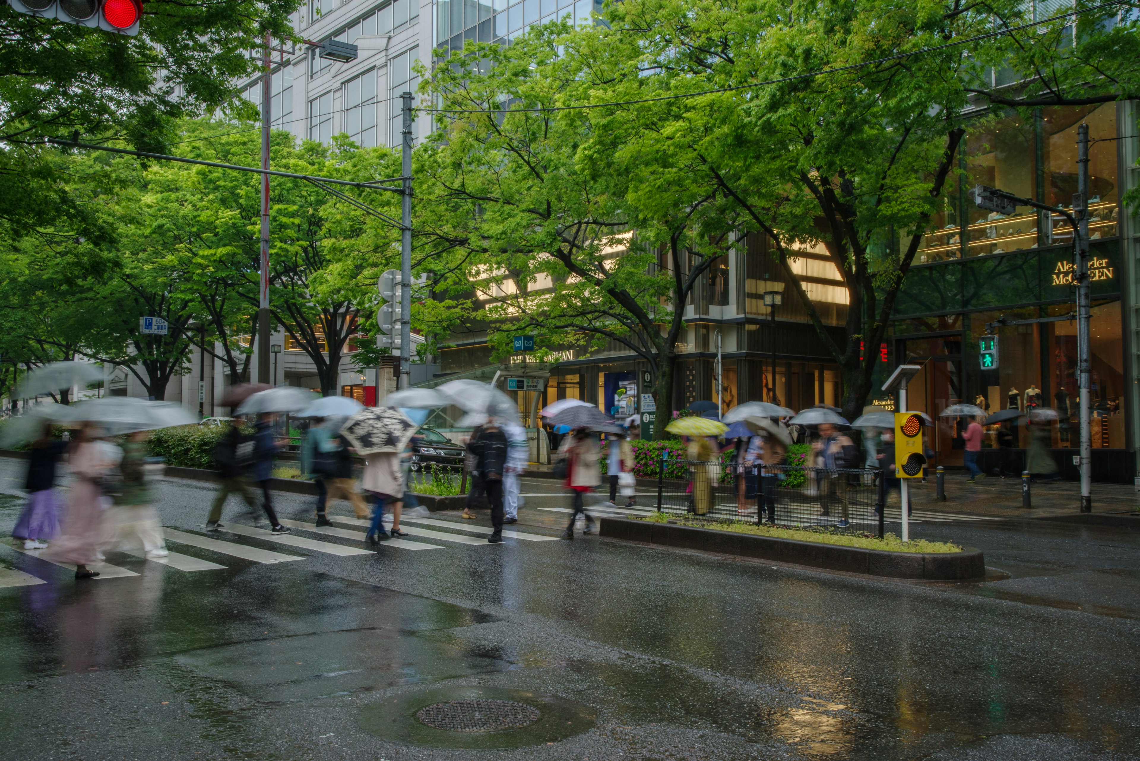 Menschen mit Regenschirmen überqueren eine Straße im Regen in einer städtischen Umgebung