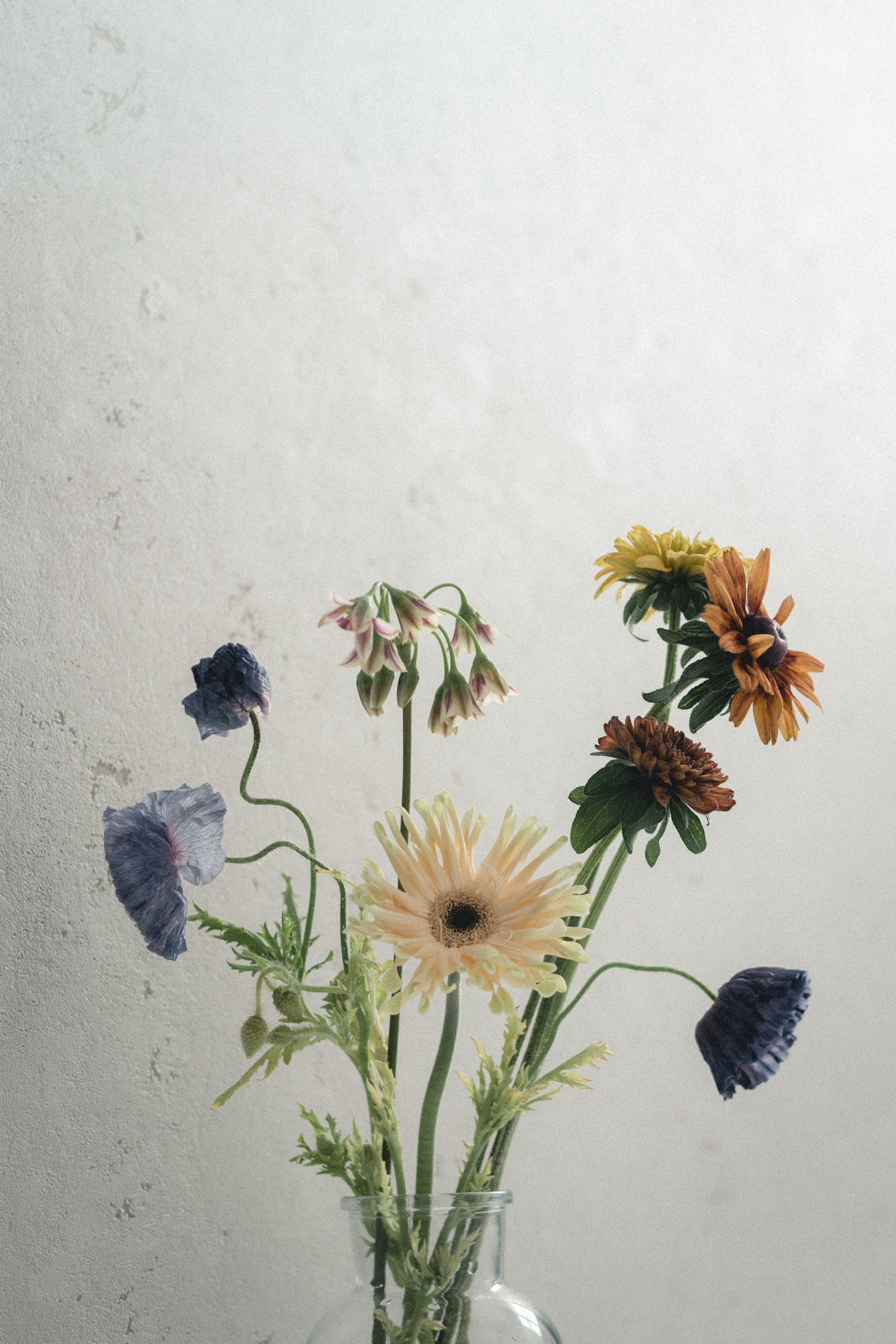 A bouquet of colorful flowers in a glass vase