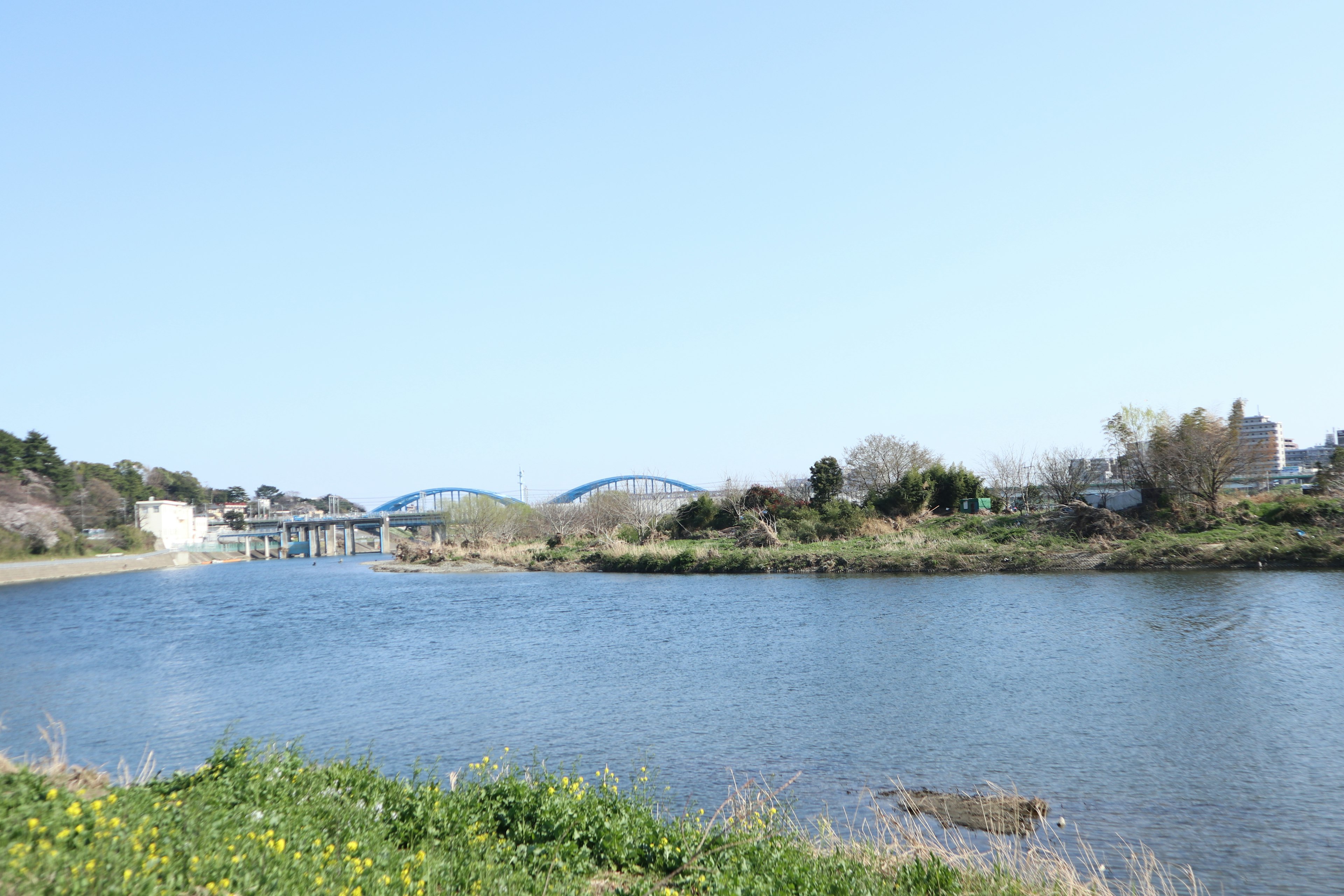 Ruhige Flussansicht mit Brücken grünem Gras und blauem Himmel