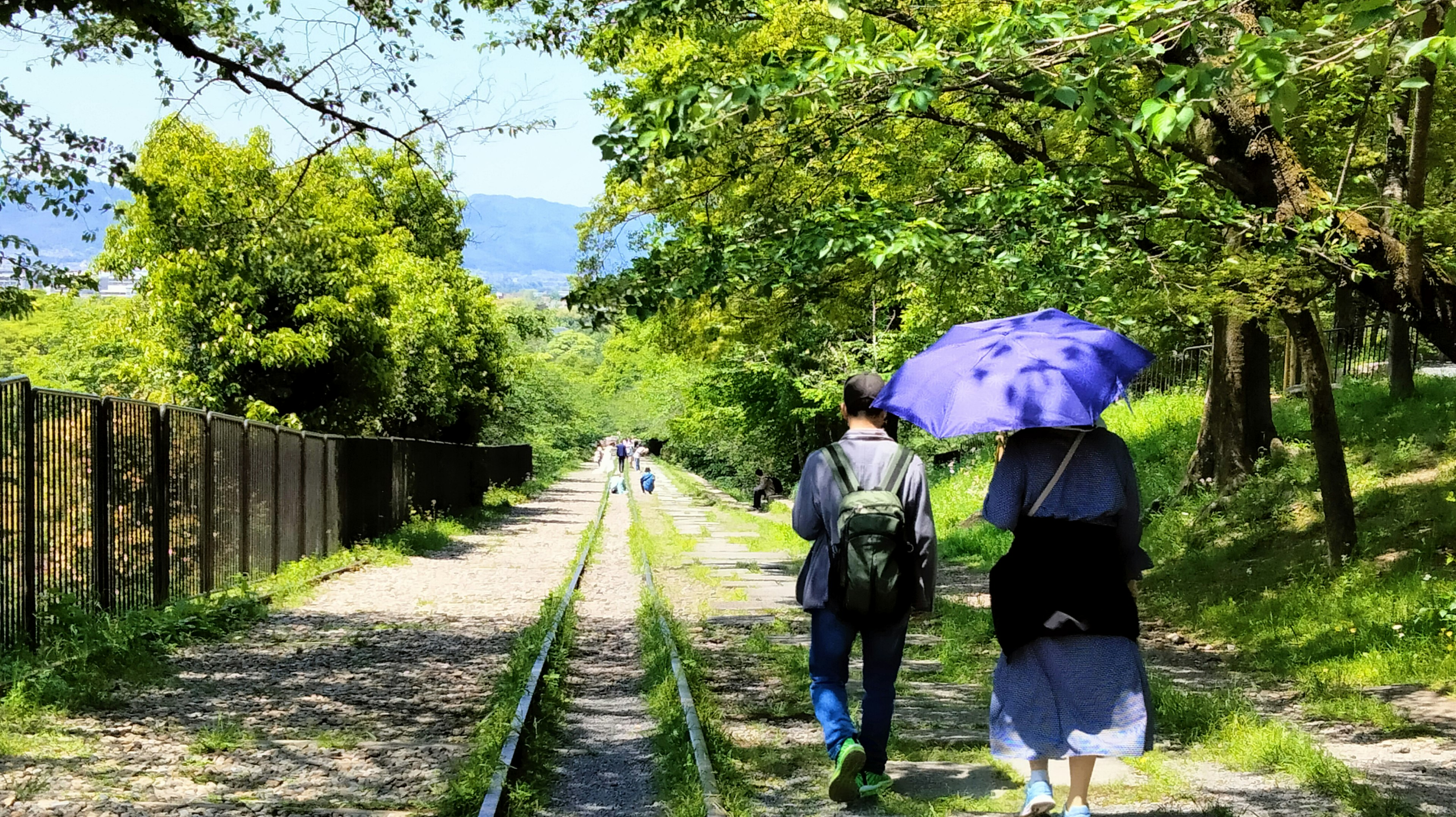 緑の木々に囲まれた静かな小道を歩く二人の人物